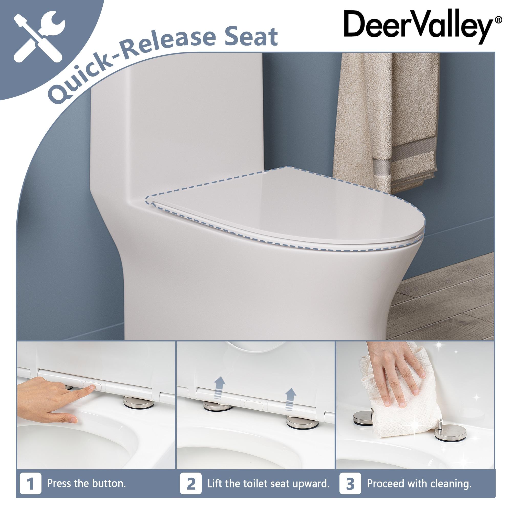One Piece Toilet For Bathroom, Modern Bathroom Toilet with Dual Flush 1.1/1.6 Gpf Fully Skirted Toilets(Soft Close Seat)