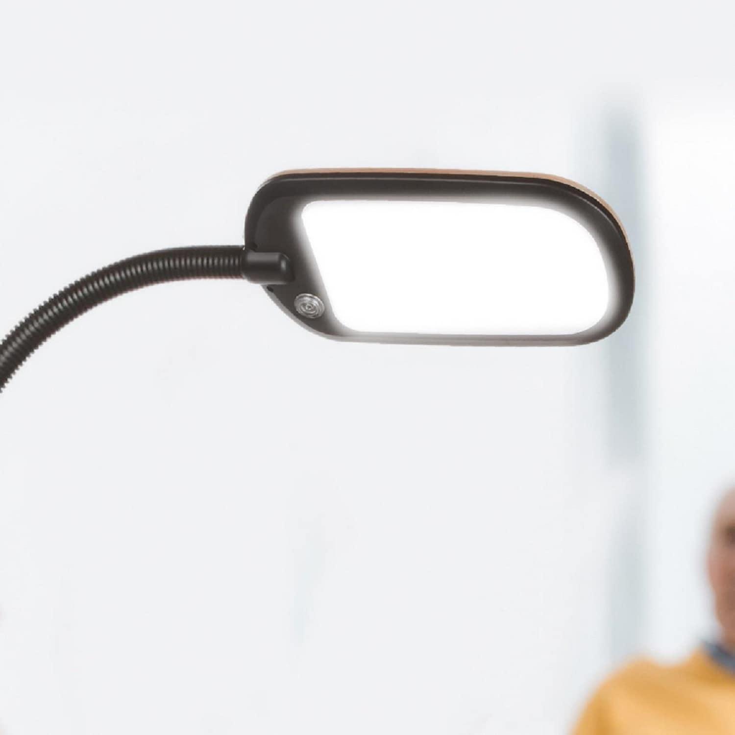 Brightech Litespan Slim 55 in. Industrial Dimmable LED Directional Task Floor Lamp