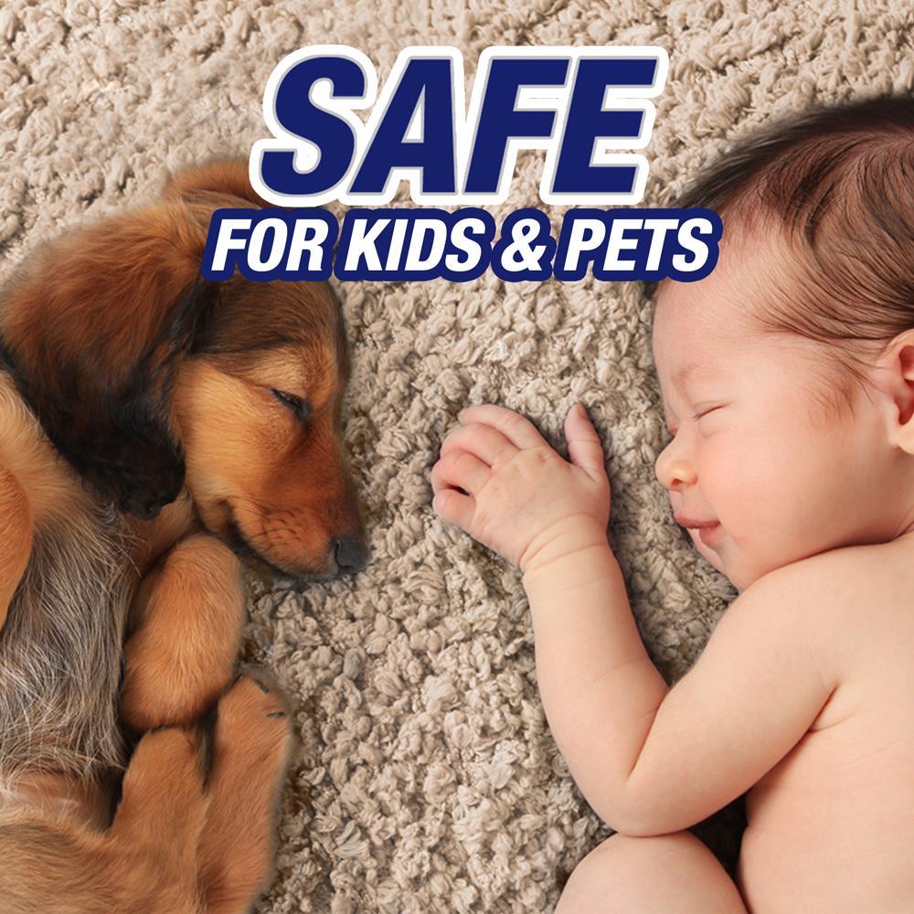 Resolve Pet Stain Remover Spray - 22oz