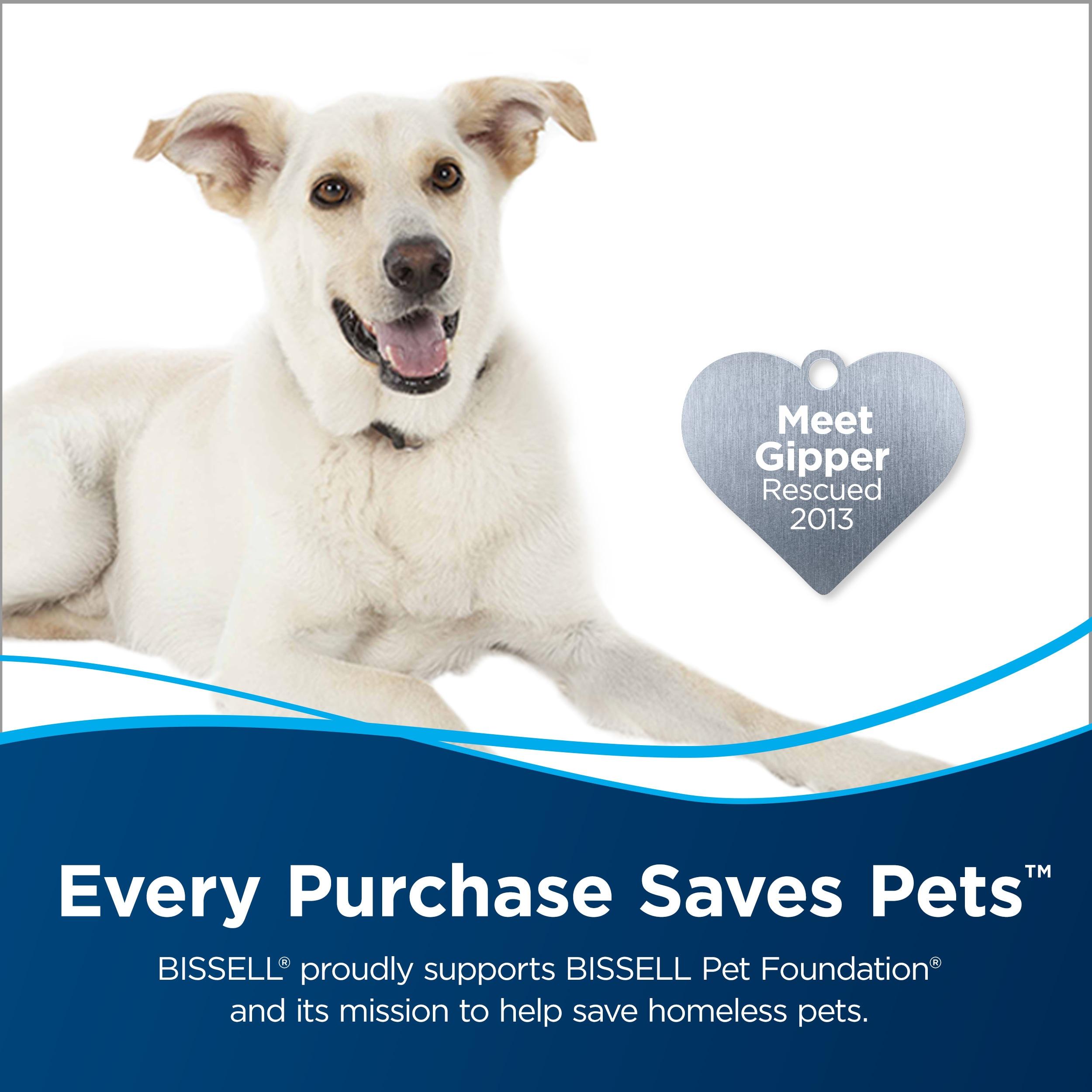 Bissell 2038 Professional Spot & Stain + Oxy Carpet Cleaner 32 Ounce