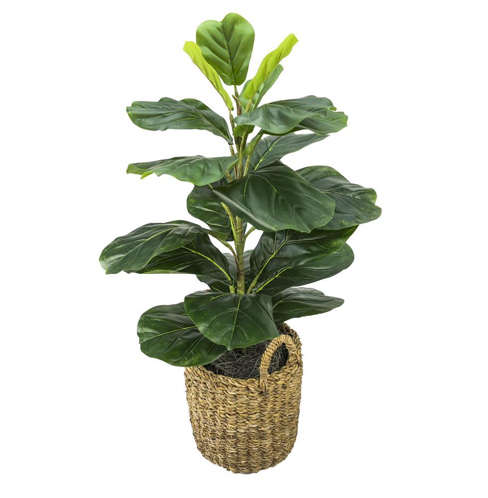LCG Florals 30" x 16" Artificial Fig Plant in Basket with Handles: Indoor Faux Floor Plant, Polyester, Wicker Basket