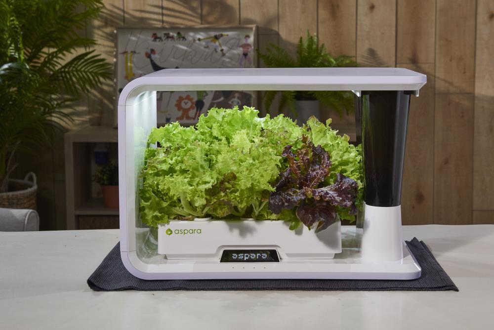 Aspara Aspara Hydroponic Unit