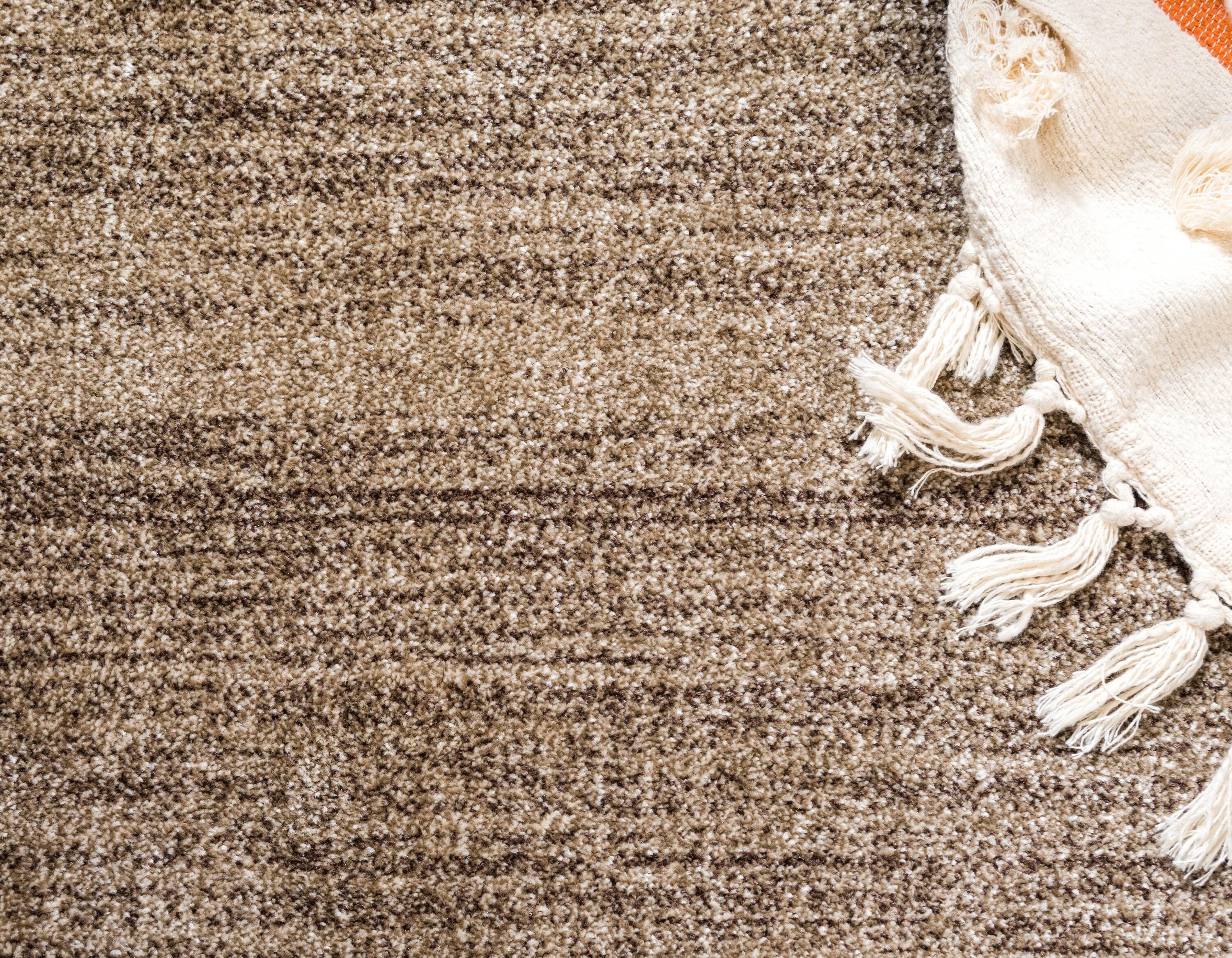 Unique Loom Del Mar Collection Area Rug - Maria (6' 1" x 9' Rectangle Light Brown/Ivory)