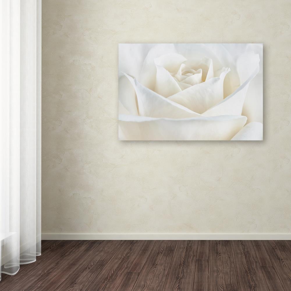 Pure White Rose Framed Photographic Print