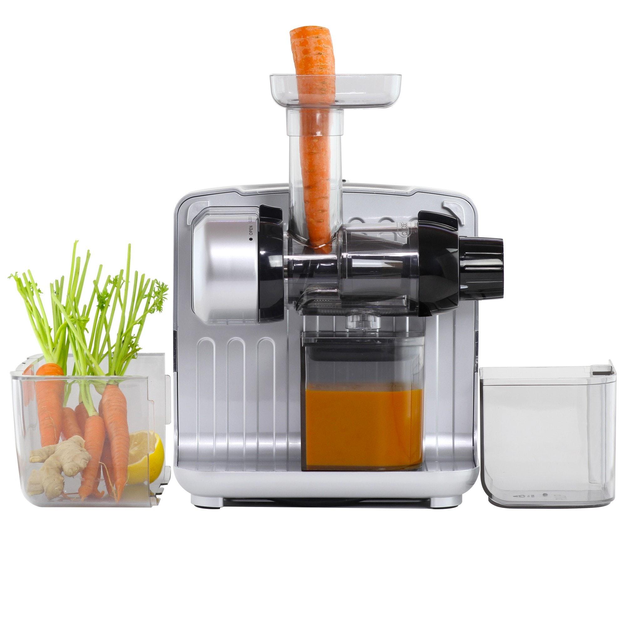 Omega Omega Cold Press 365 Masticating Slow Juicer with On-Board Storage