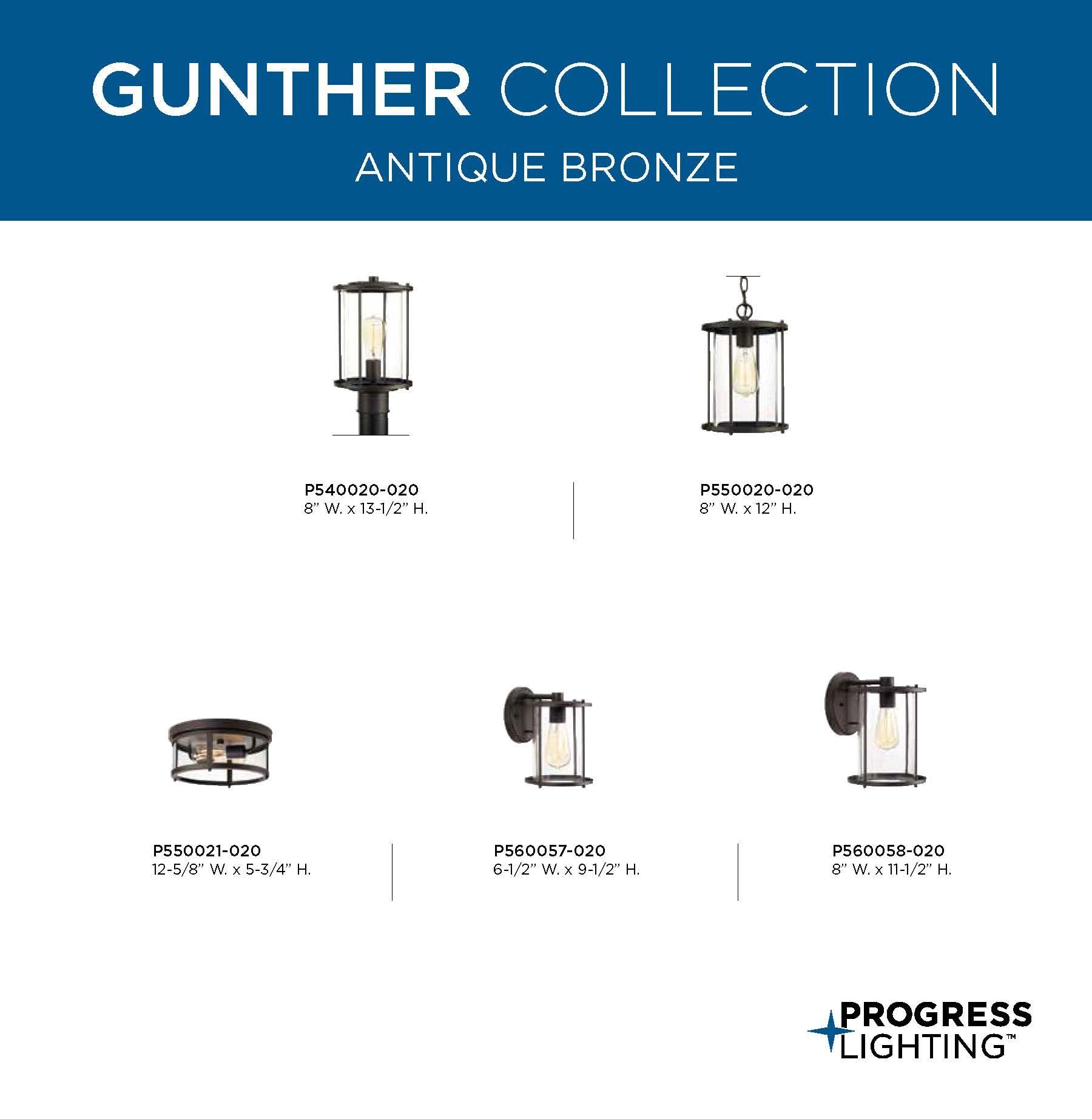 Progress Lighting - Two Light Flush Mount - Outdoor - Gunther - Outdoor Light -