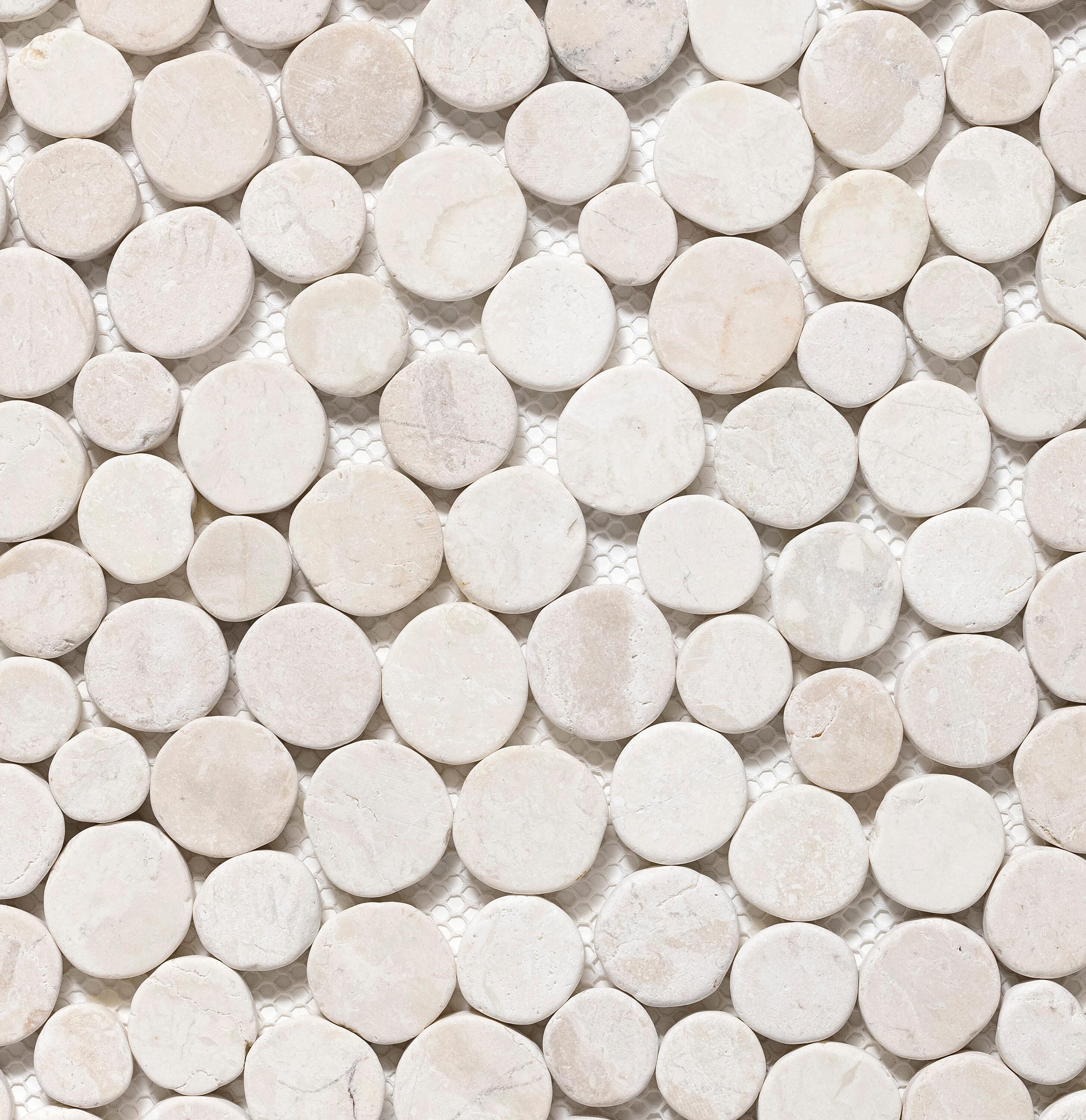 Cruz Bay Studio 11.5" x 11.5" Random Sized Natural Stone Penny Round Mosaic Wall & Floor Tile