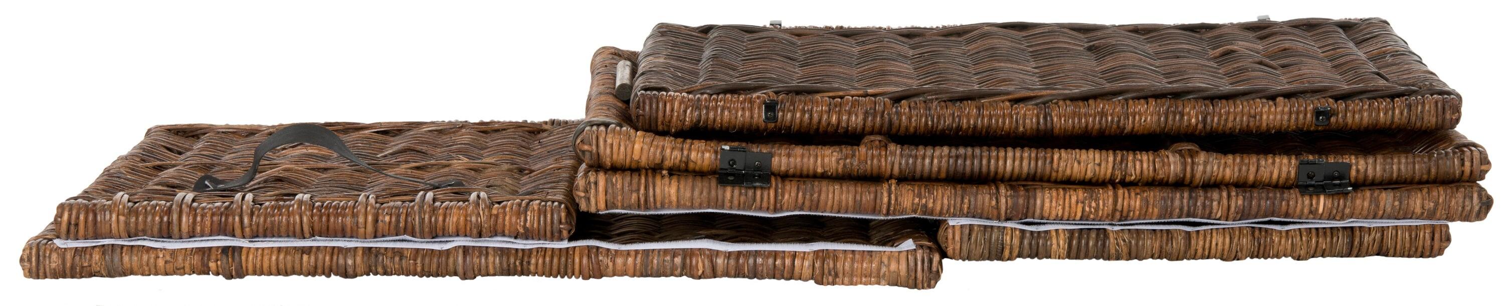 happimess Caden Wicker Trunk & Reviews | Wayfair