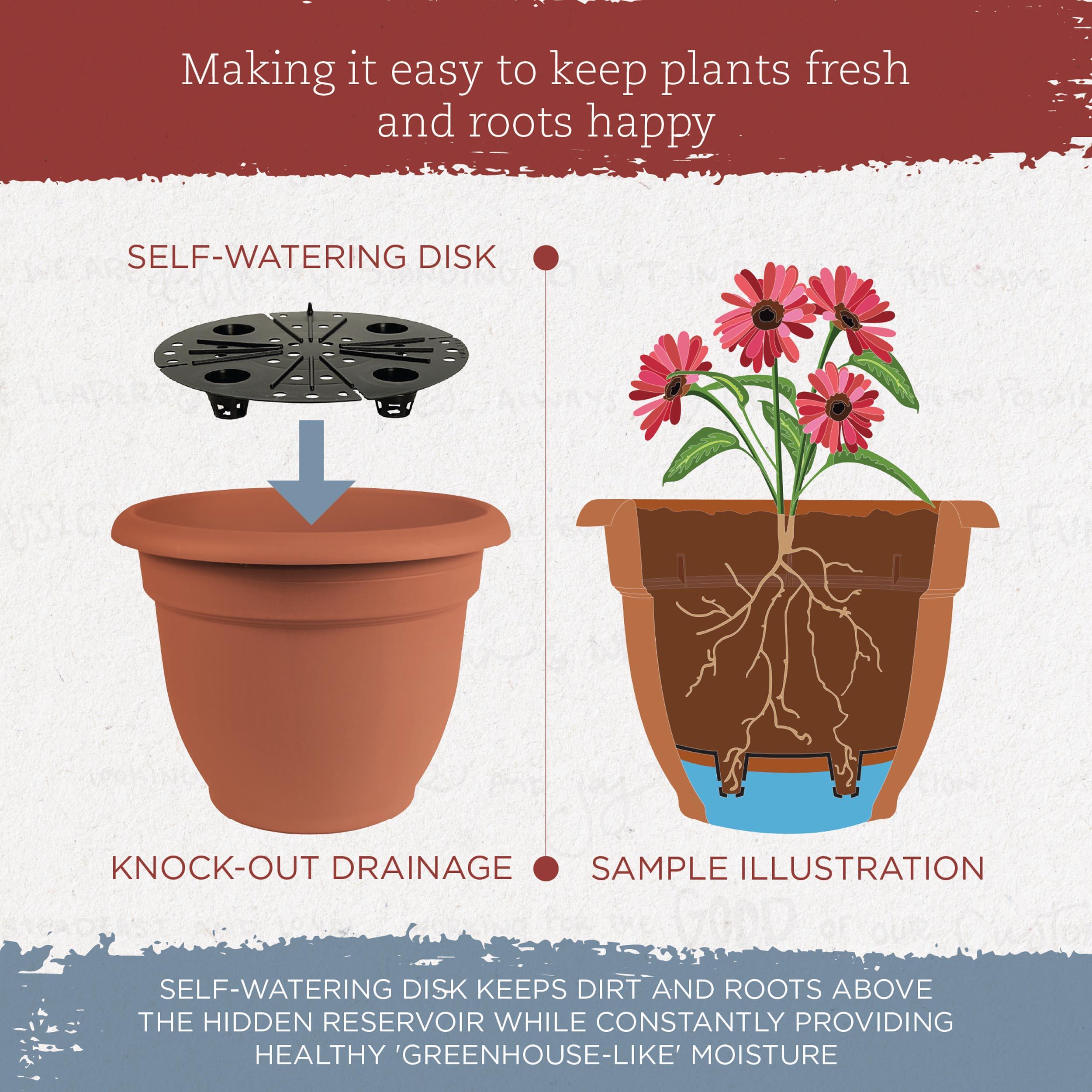 Bloem Ariana Traditional Self-Watering Indoor/Outdoor Pot Planter