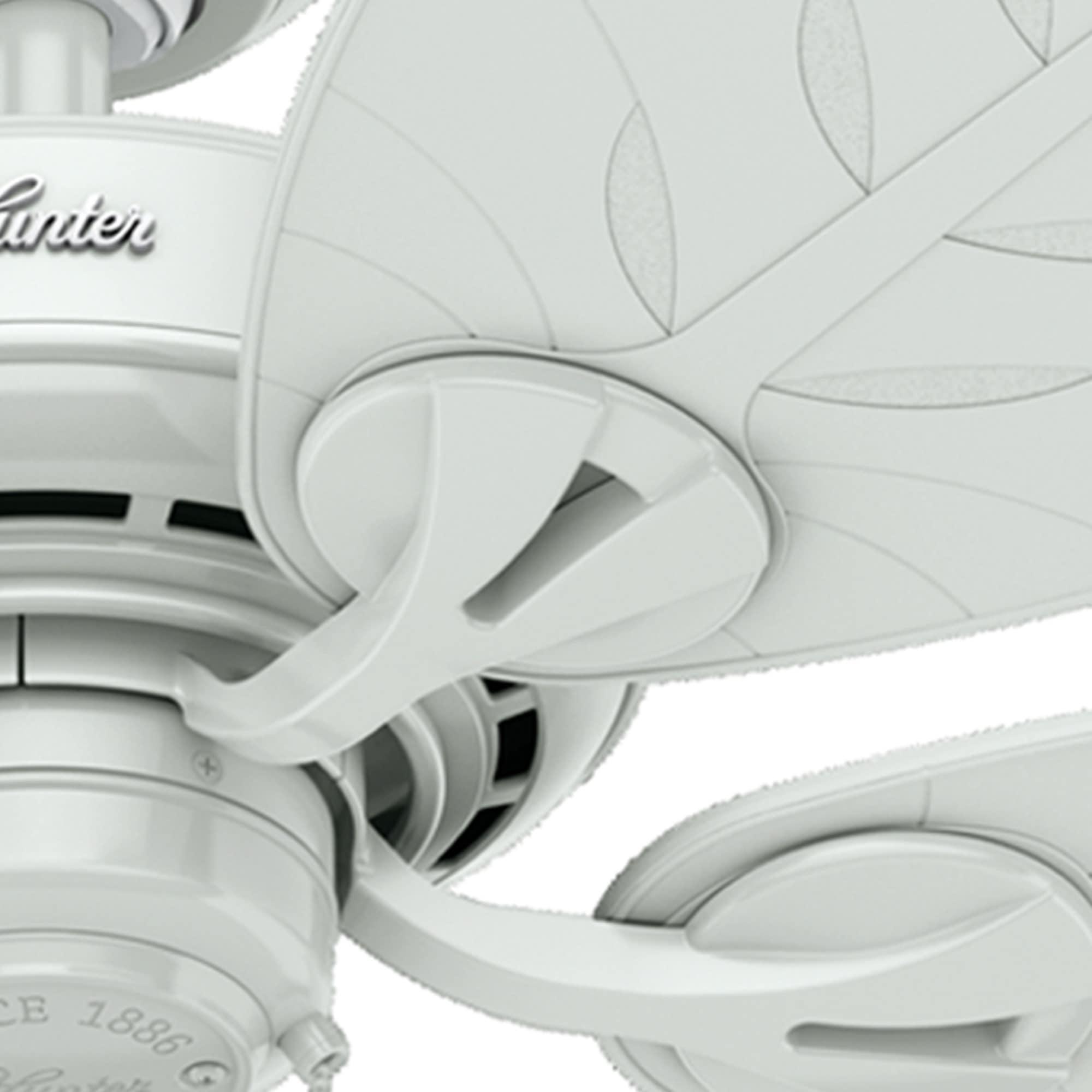 54" Bayview 5 - Blade Outdoor Tropical Leaf Ceiling Fan with Pull Chain