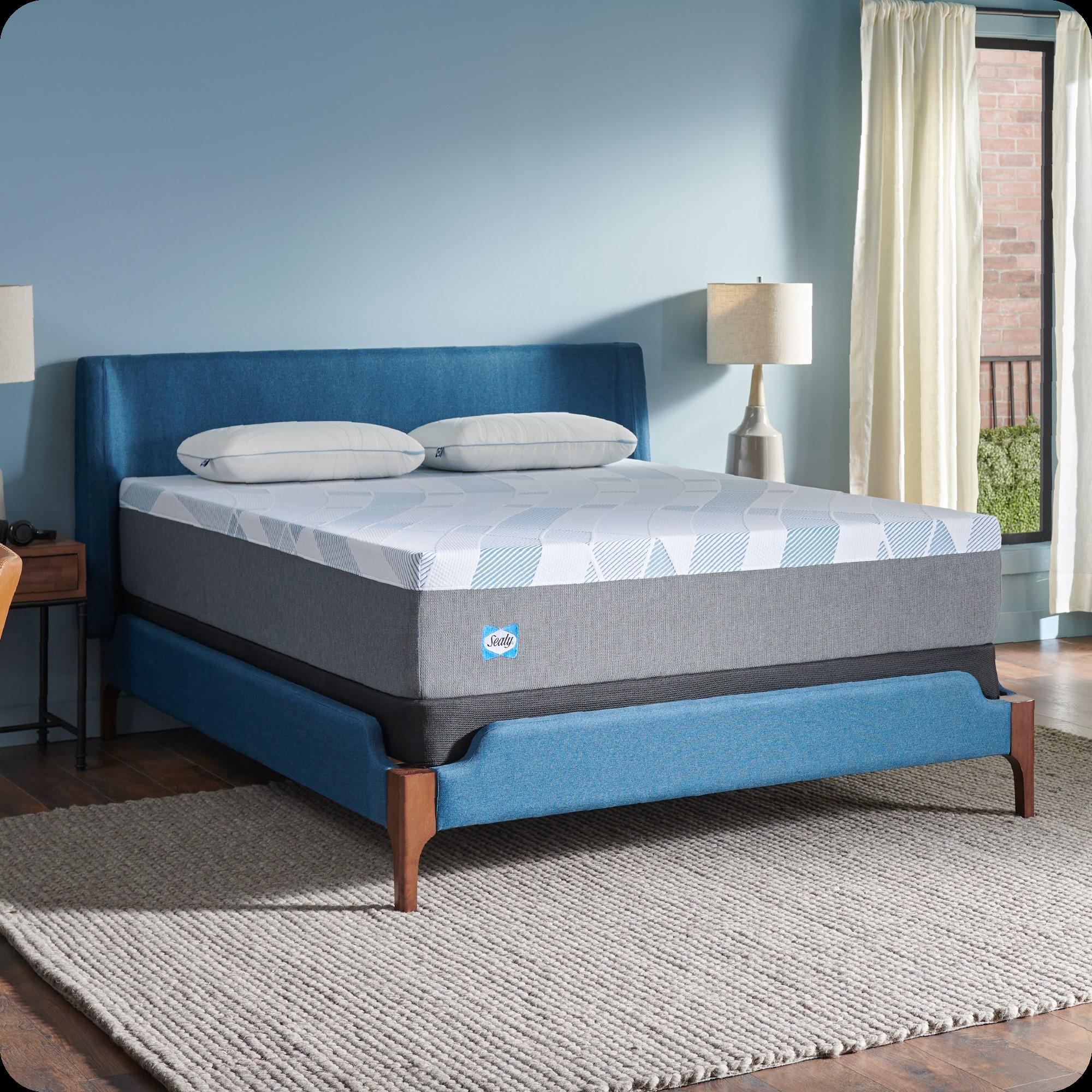 Sealy Dreamlife 12” Plush Foam Mattress-in-a-Box