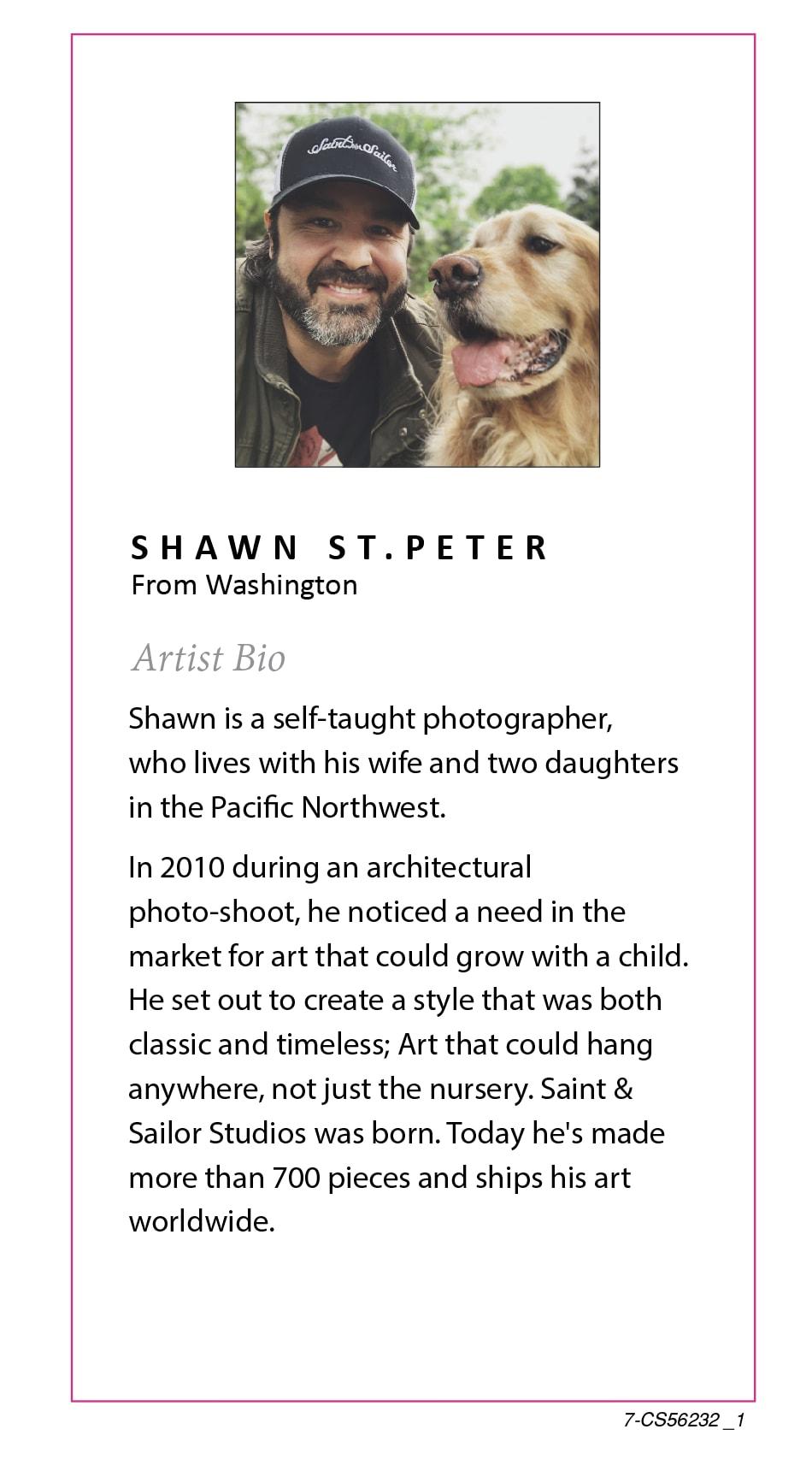 18" x 24" Sylvie Vintage Basketball Framed Canvas By Shawn St. Peter - DesignOvation: Sports Wall Art, Nursery Decor