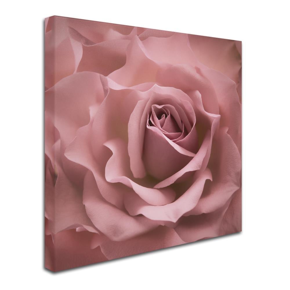 House of Hampton® " Misty Rose Pink Rose " by Cora Niele