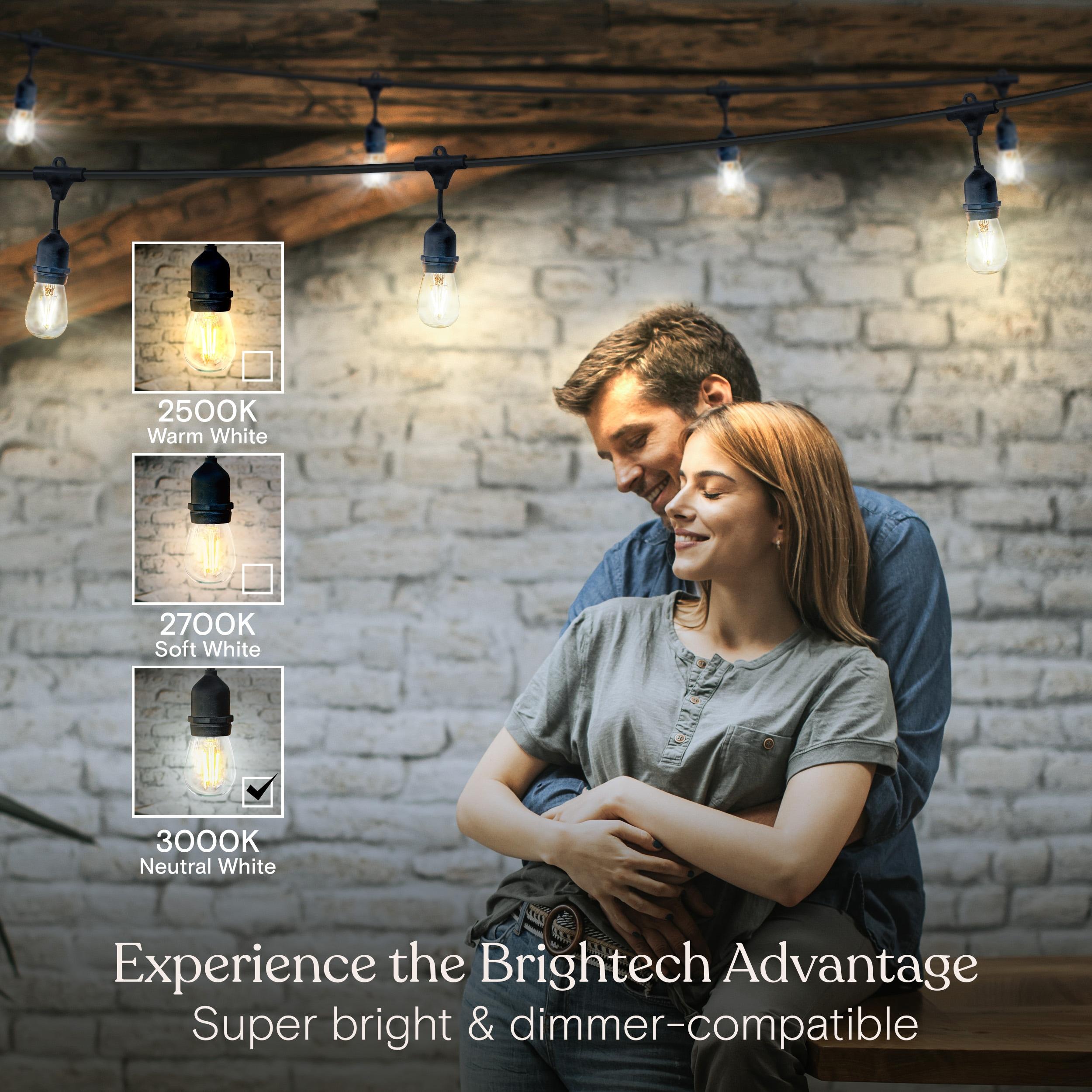 Brightech 15-Bulb LED Ambience Pro Hanging 1W 48ft 2700K S14 Indoor Outdoor Plug-in String Lights Clear Bulb Black Wire