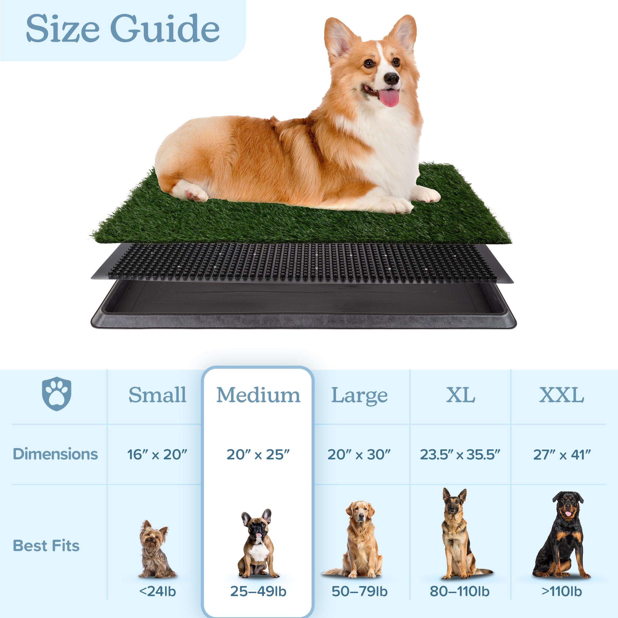 Pet Adobe Artificial Grass Potty Trainer Mat 20x25