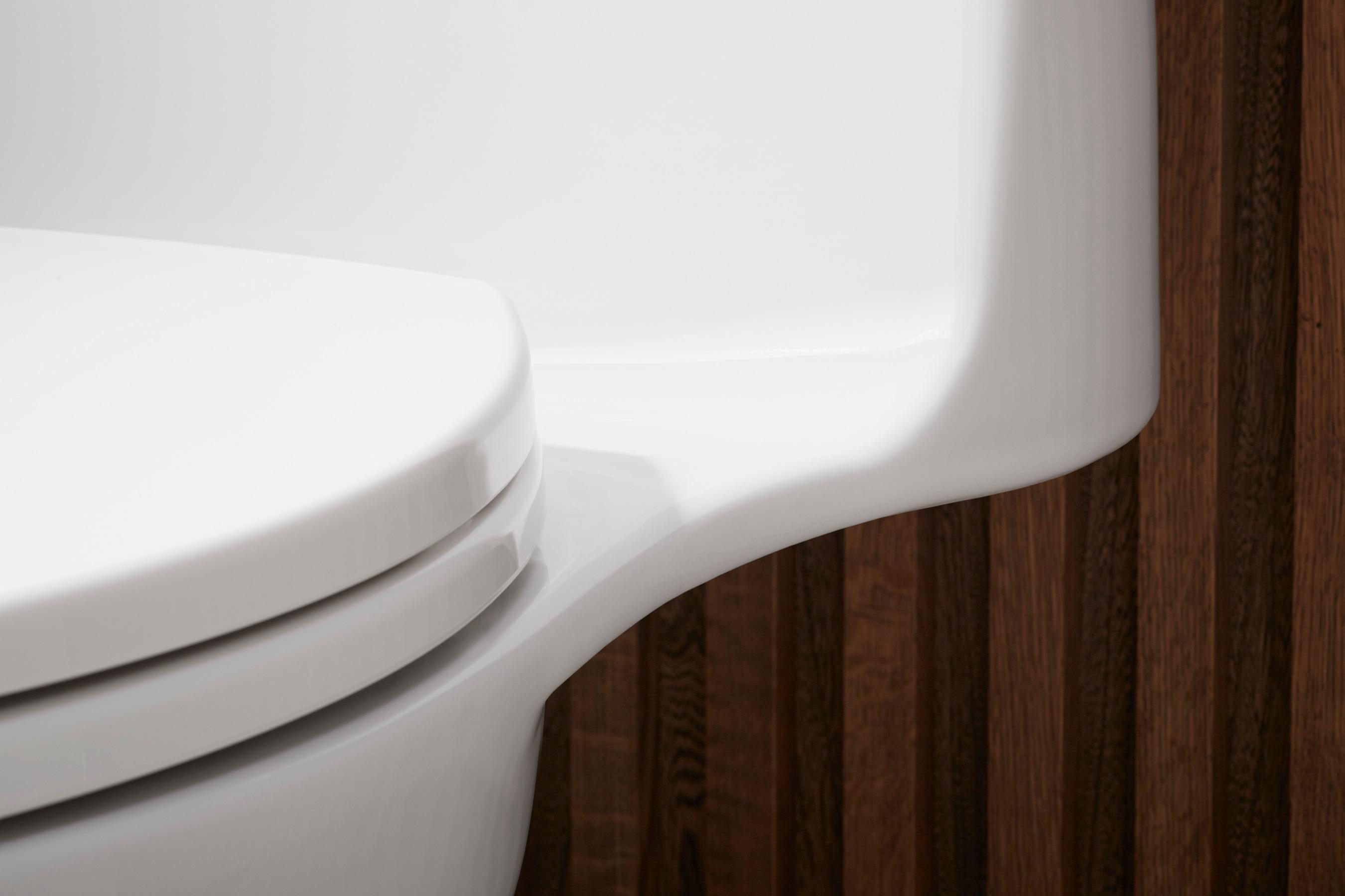 Santa Rosa One-Piece Compact Elongated 1.6 Gpf Toilet With Revolution 360 Swirl Flushing Technology