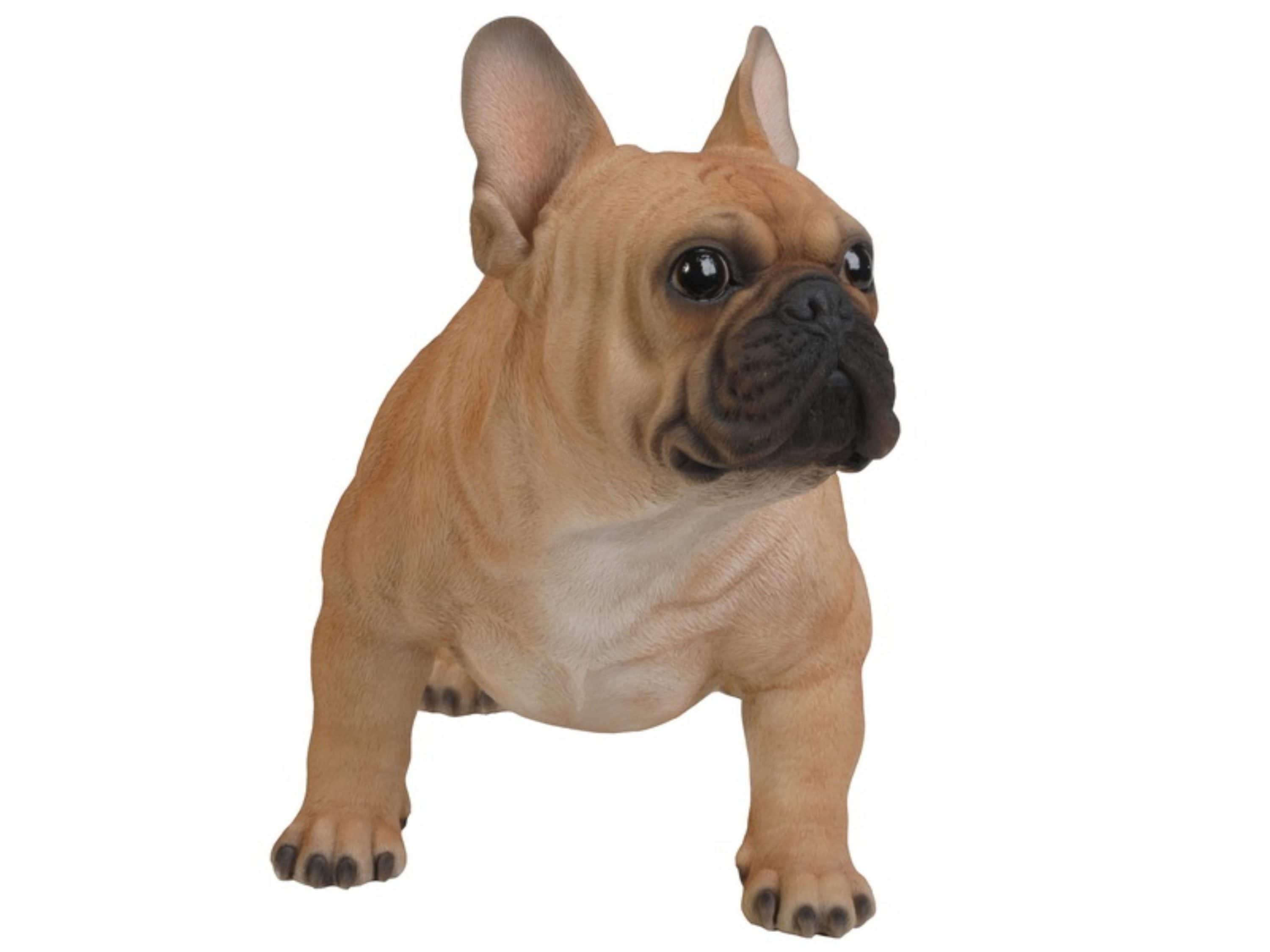 Hi-Line Gift Ltd. Dog French Bulldog Statue