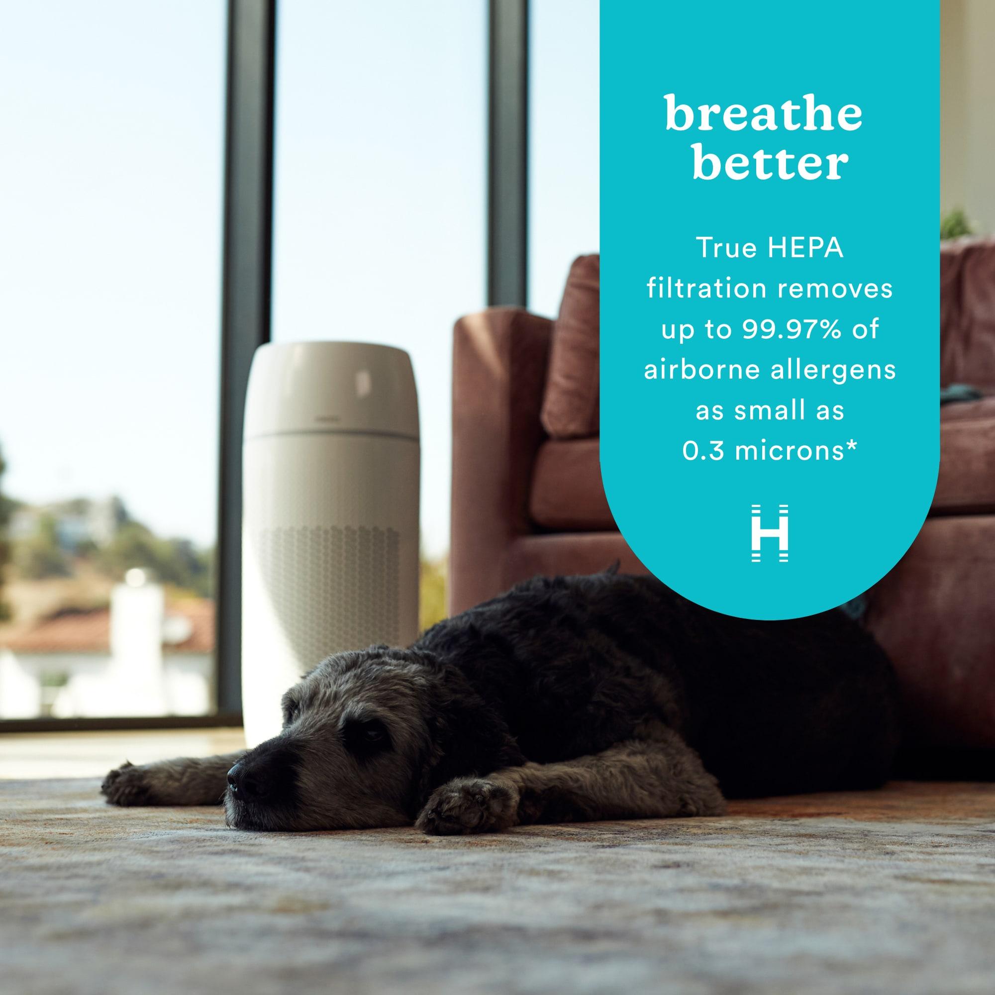 HoMedics PetPlus Large Room Air Purifier with UV-C Technology: Electric, 3 Settings, CARB Certified, 100-300 sq. ft.