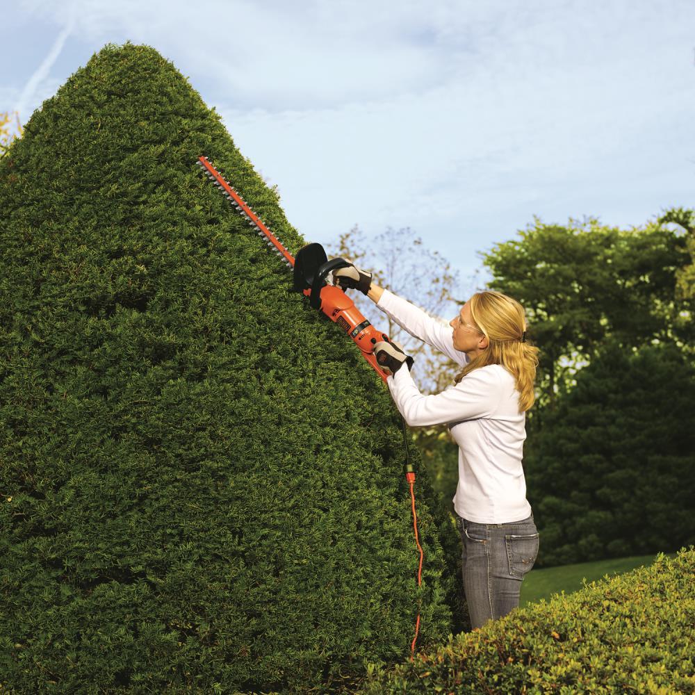BLACK+DECKER HH2455 3.3 Amp HedgeHog 24" Hedge Trimmer with Rotating Handle