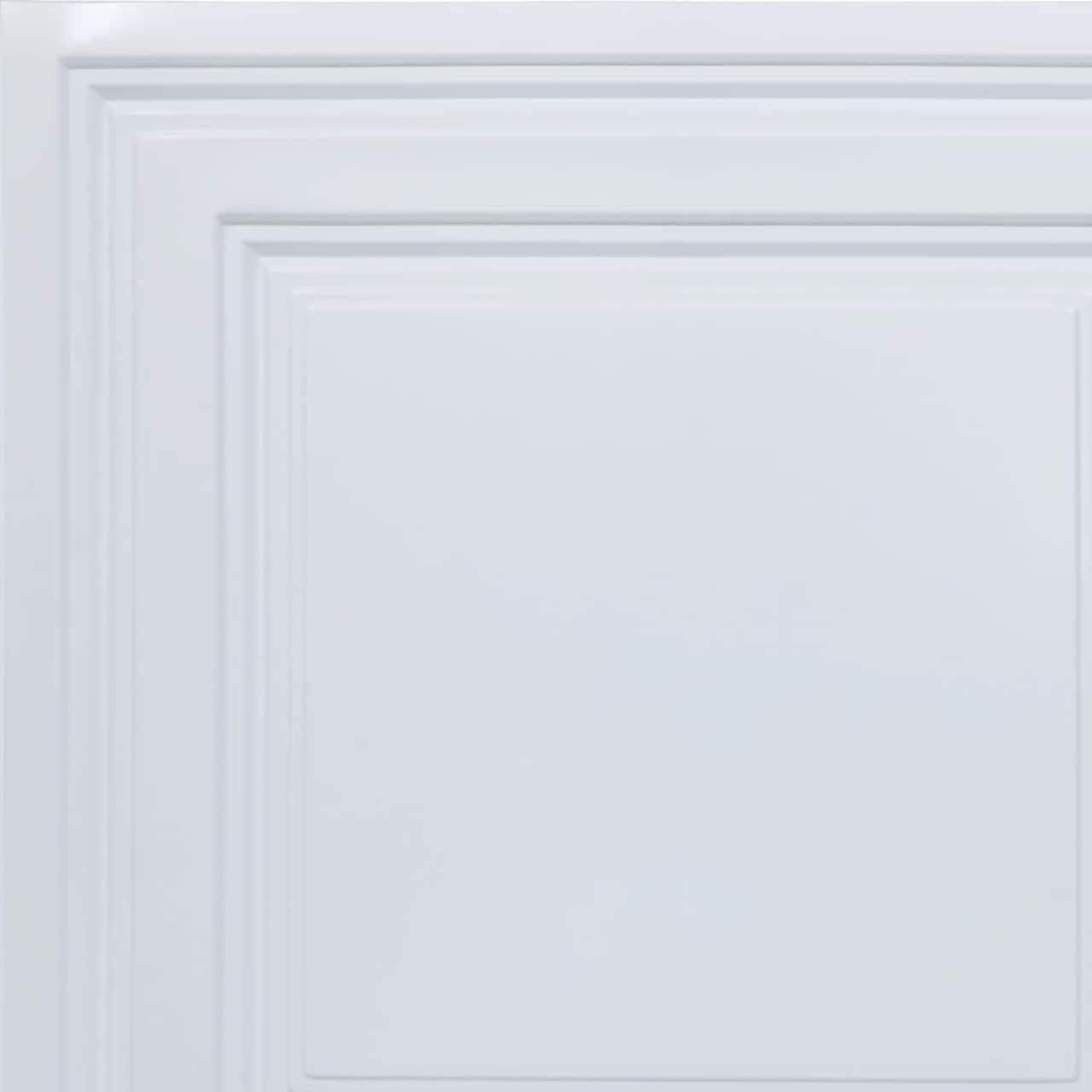 FromPlainToBeautifulInHours Economy Drop-In PVC Ceiling Tile (Set of 50)