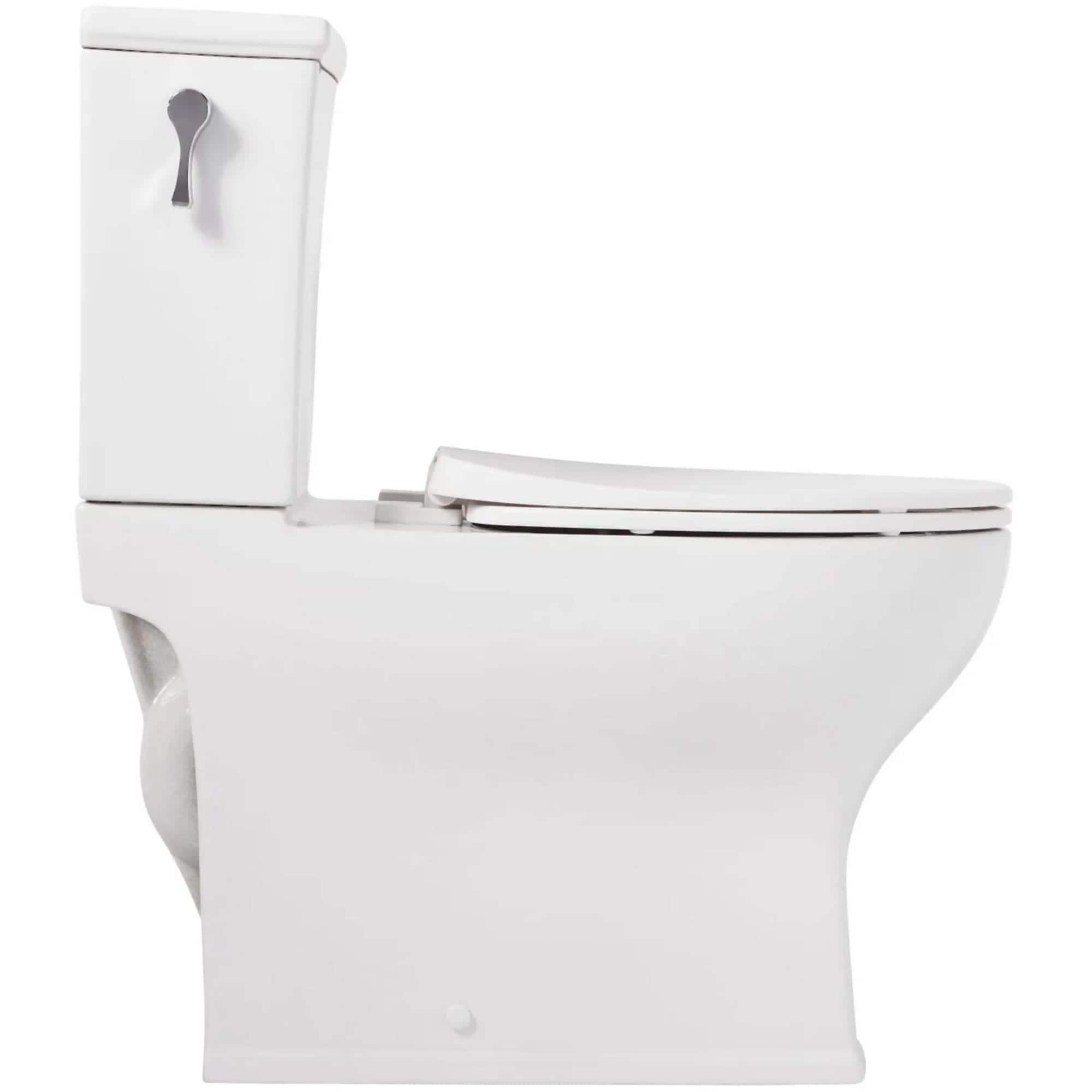 Carraway Two-Piece Skirted Elongated Toilet