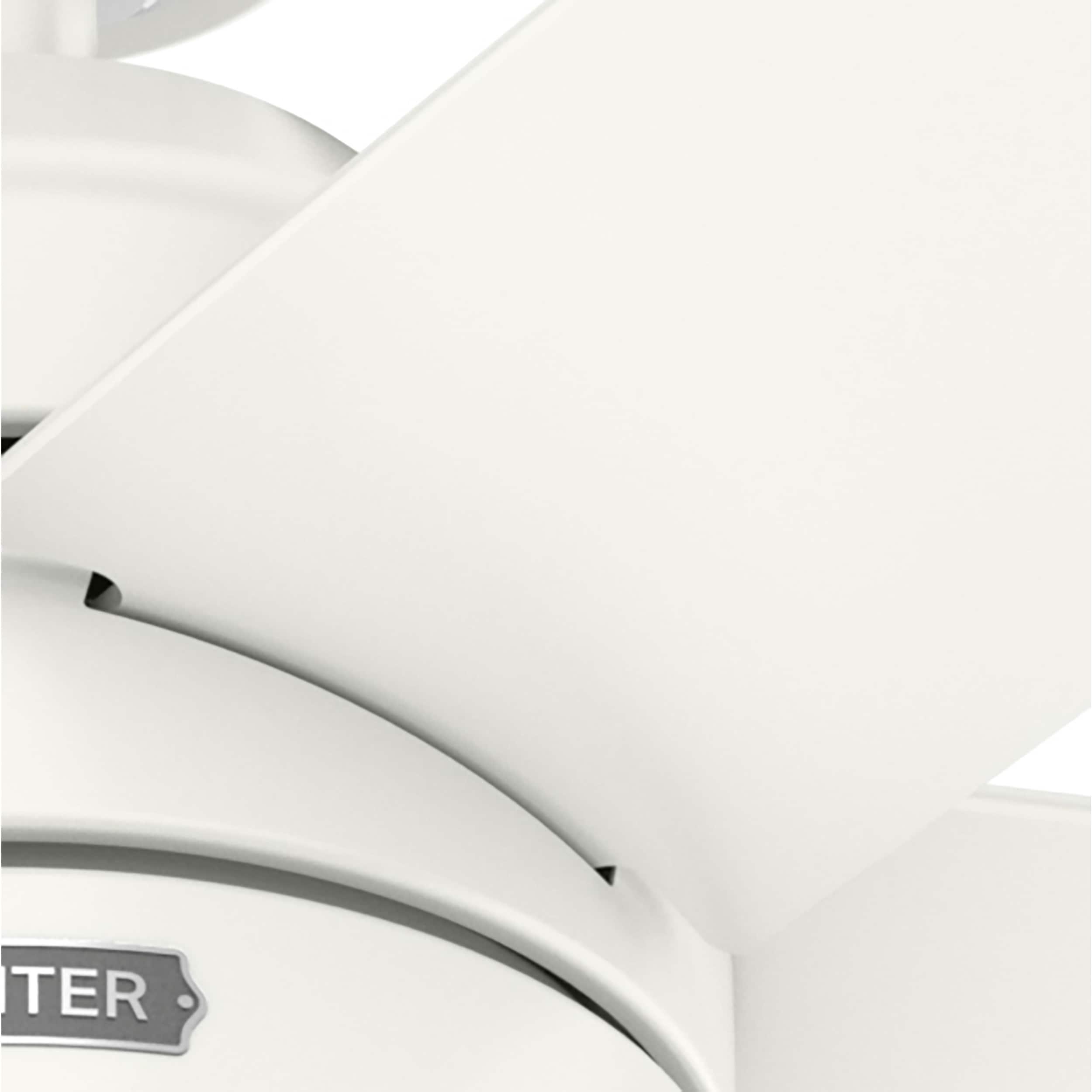 Bardot 52" 5 - Blade Ceiling Fan With Lights and Pull Chains