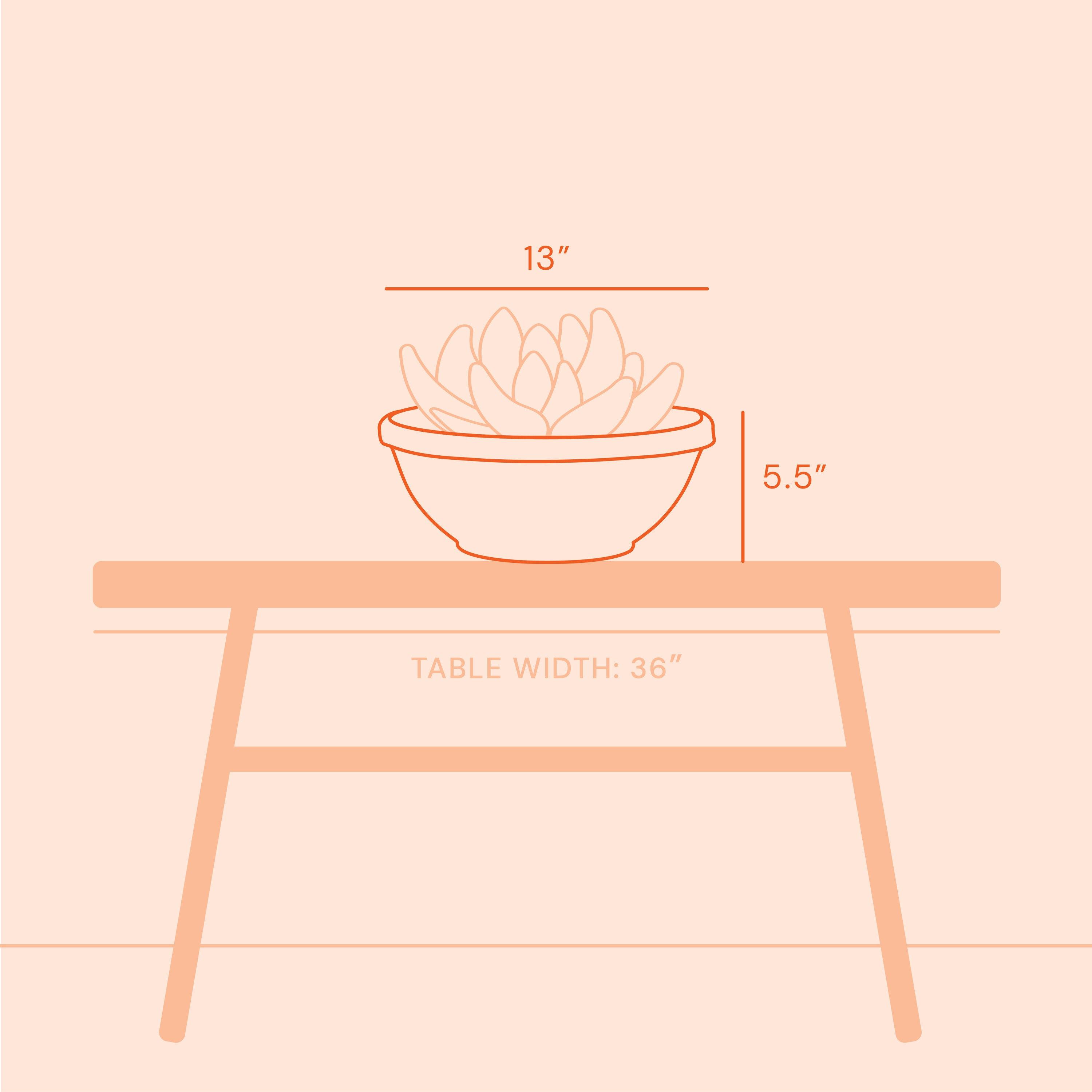 Bloem 14-in Terra Round Resin Planter Bowl - Black