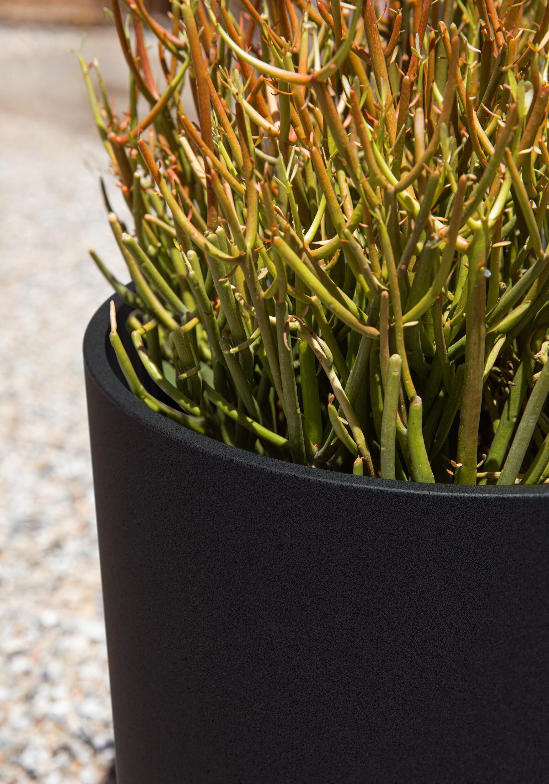 Mason Series Kona Planter