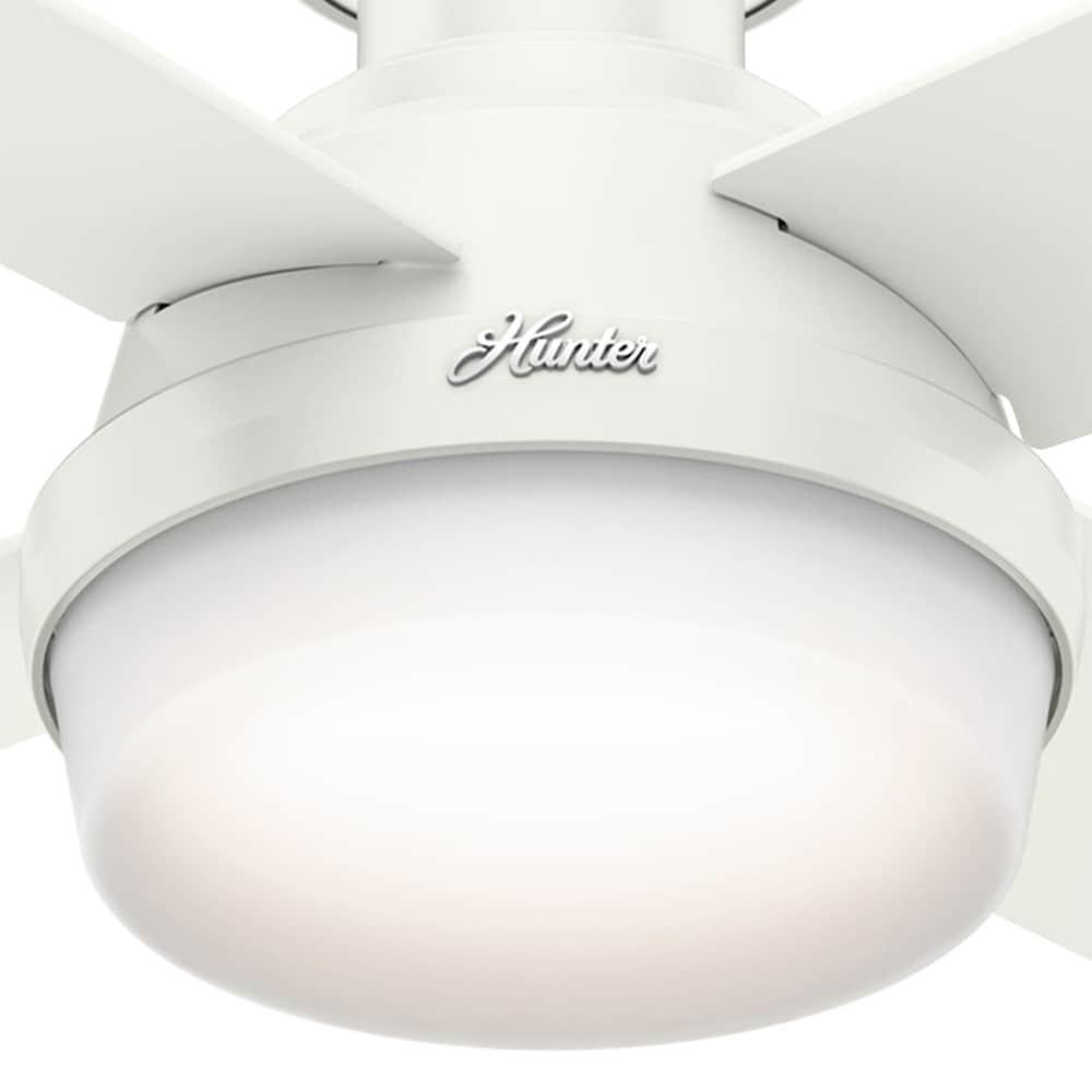Dempsey Low Profile 44" 4 - Blade Indoor Flush Mount Small Room Ceiling Fan with Lights and Remote