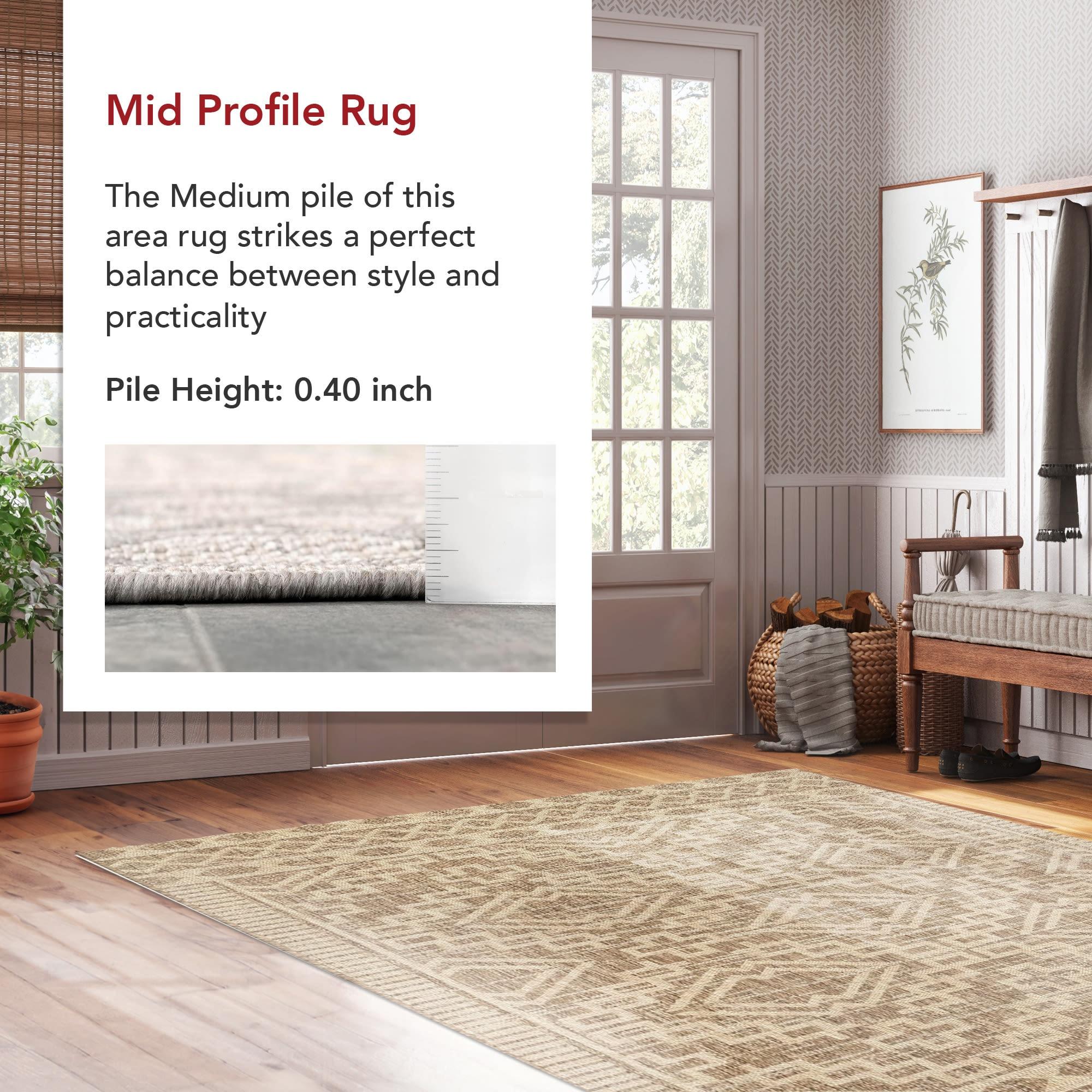 nuLOOM Cari Moroccan Global Indoor and Outdoor Area Rug