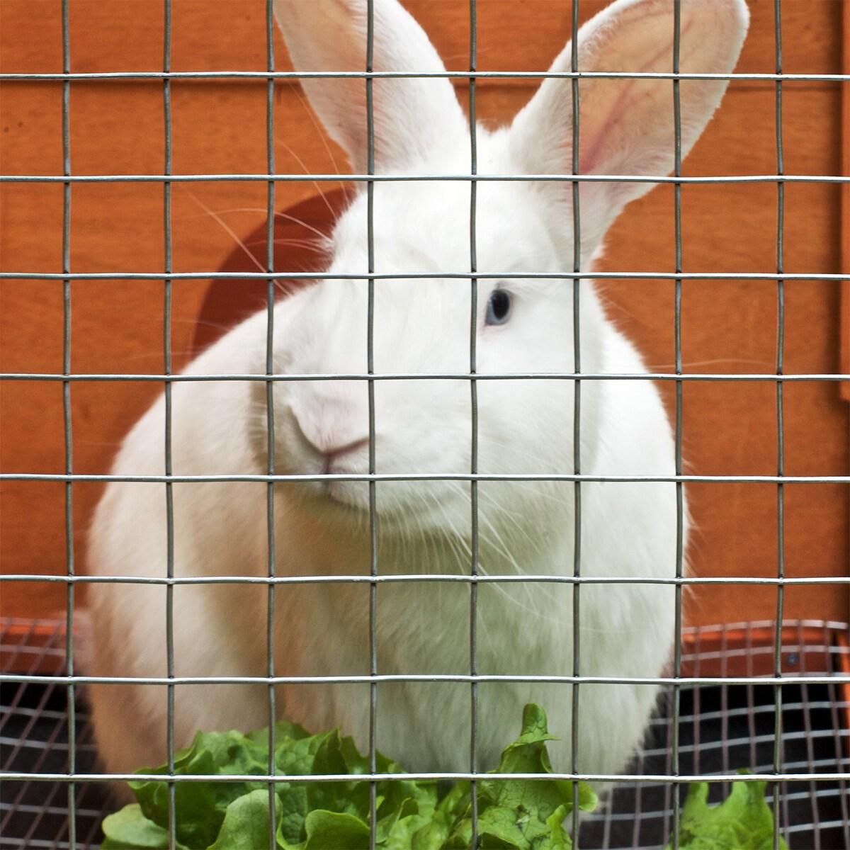 24in x 15ft 1x1in Light Duty Welded Wire