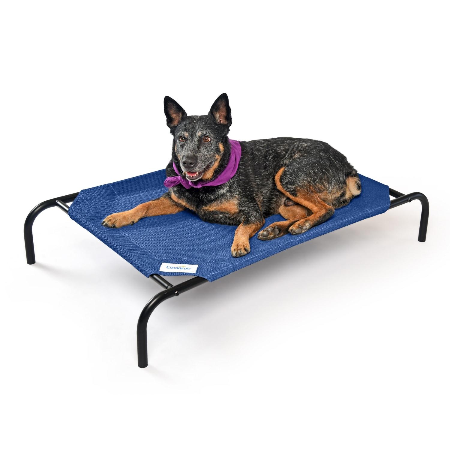 The Original Coolaroo Elevated Pet Dog Bed for Indoors & Outdoors, Medium, Aquatic Blue