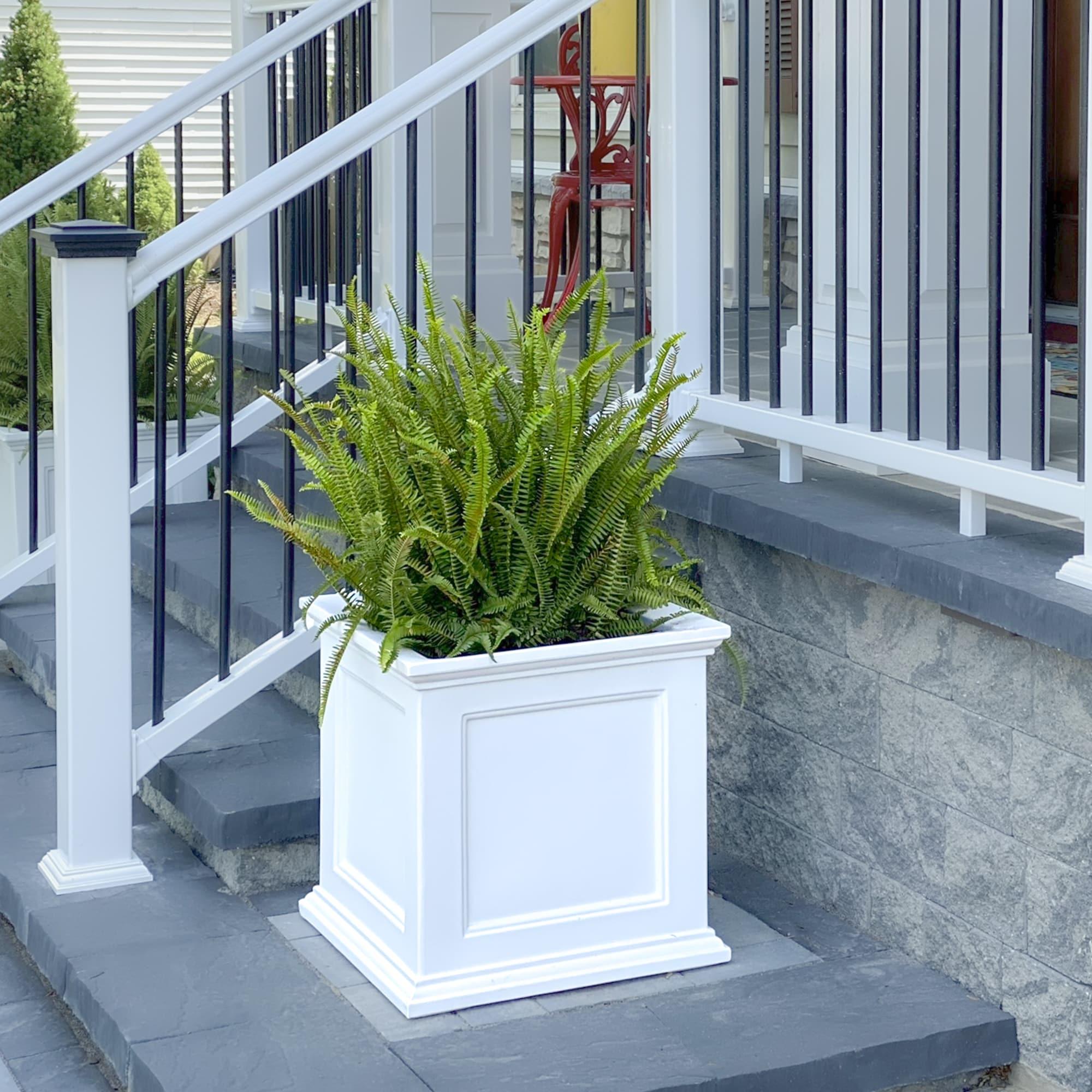 Mayne Fairfield 20" x 20" x 20" Square White Self Watering Plastic Planter
