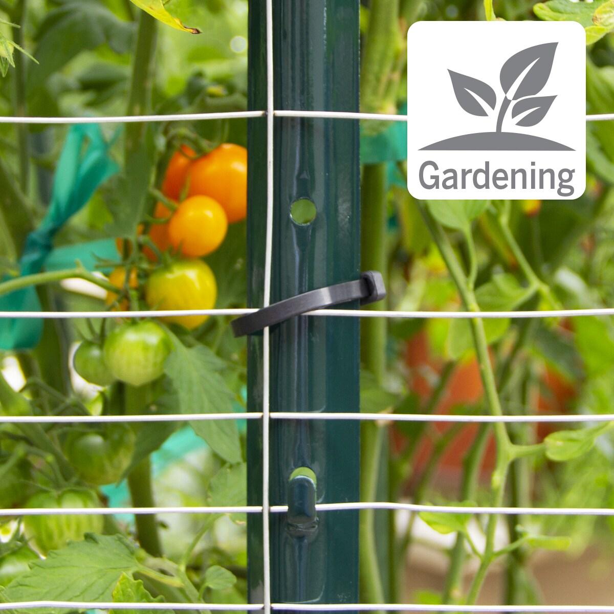 36-Inch Gray Galvanized Steel Rabbit Guard Garden Fence