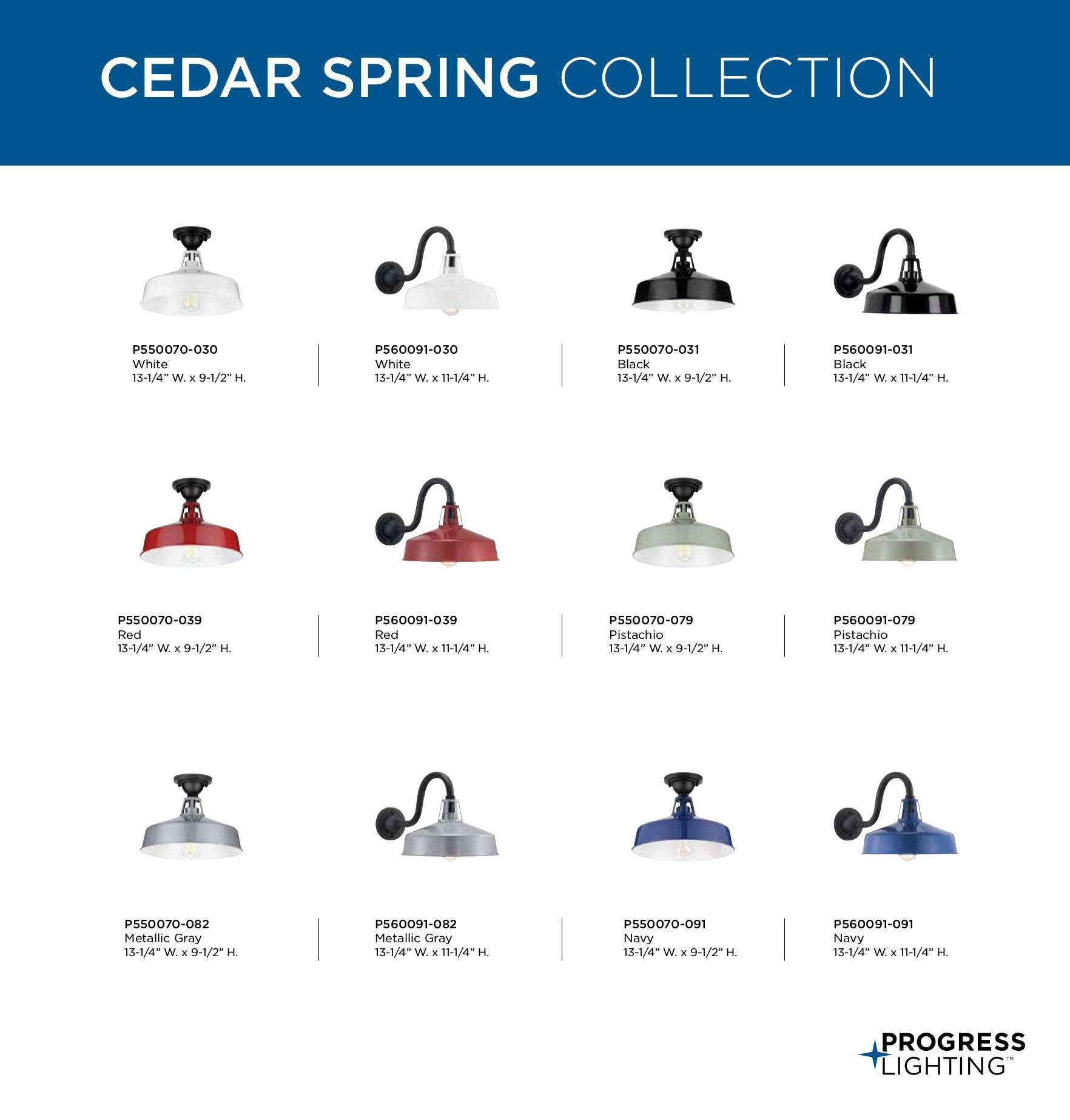 Cedar Springs Collection Pistachio One-Light Semi-Flush Mount
