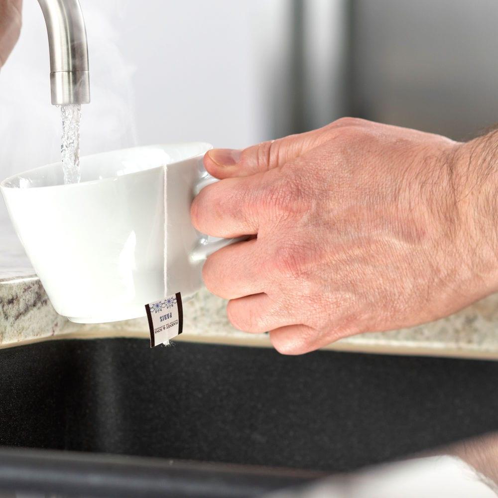 InSinkErator H-HOT150SN-SS Invite Instant Hot Water Dispenser