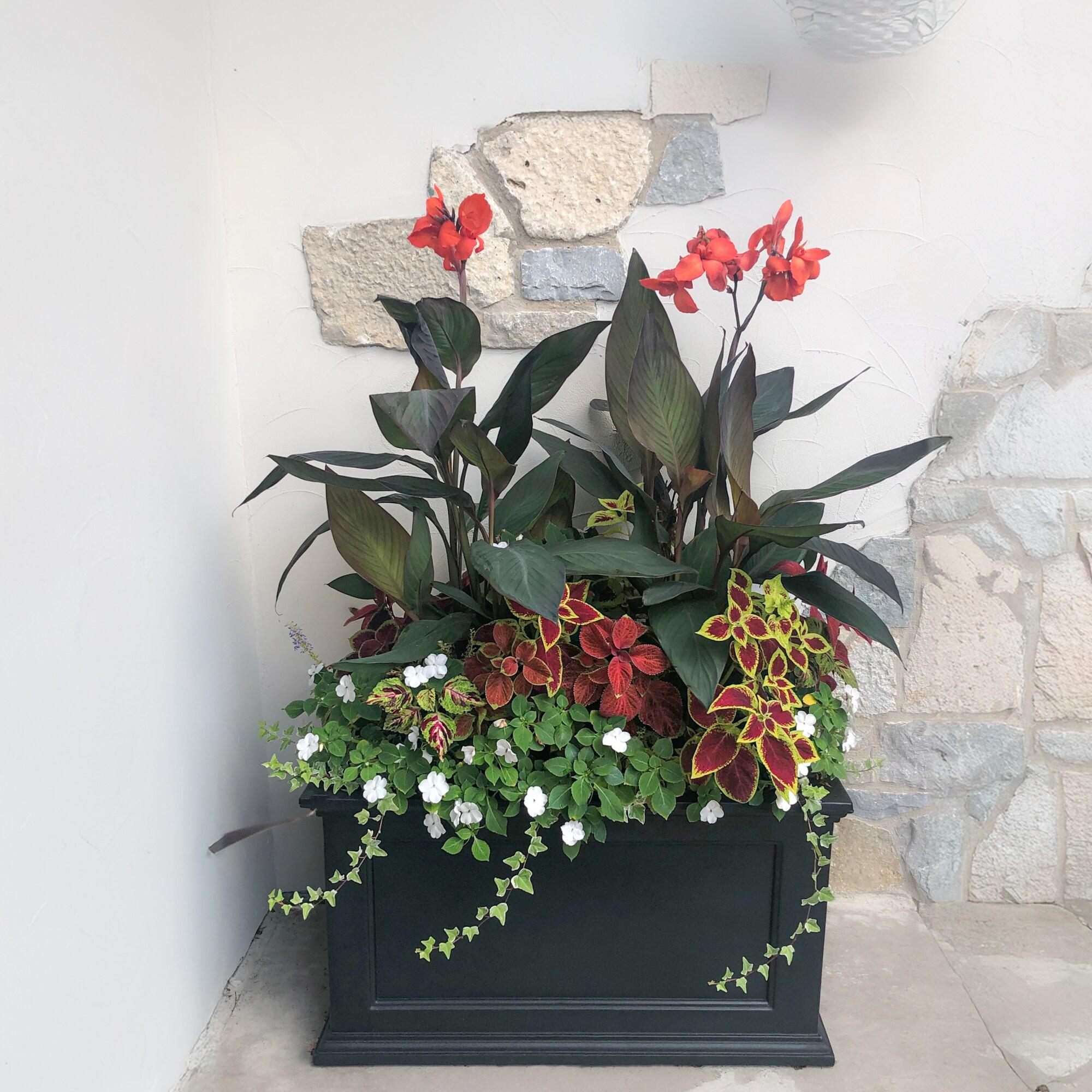 Winston Porter Anastasiya 20"x36" Resin Planter with Water Reservoir