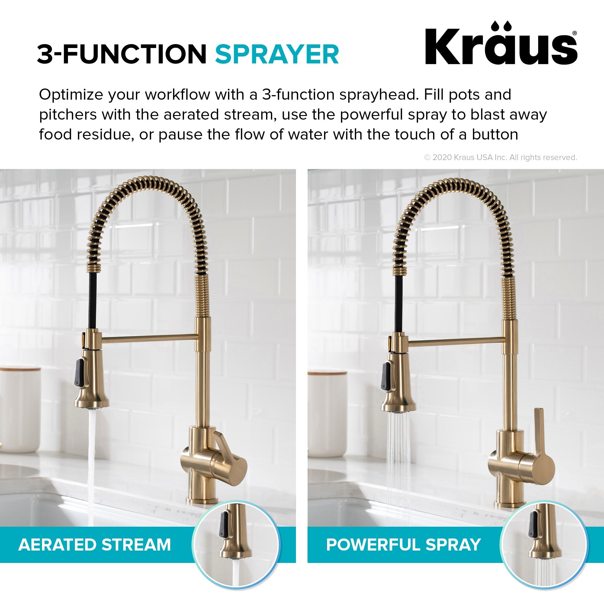 Britt Single Handle Commercial Kitchen Faucet with Dual Function Sprayhead