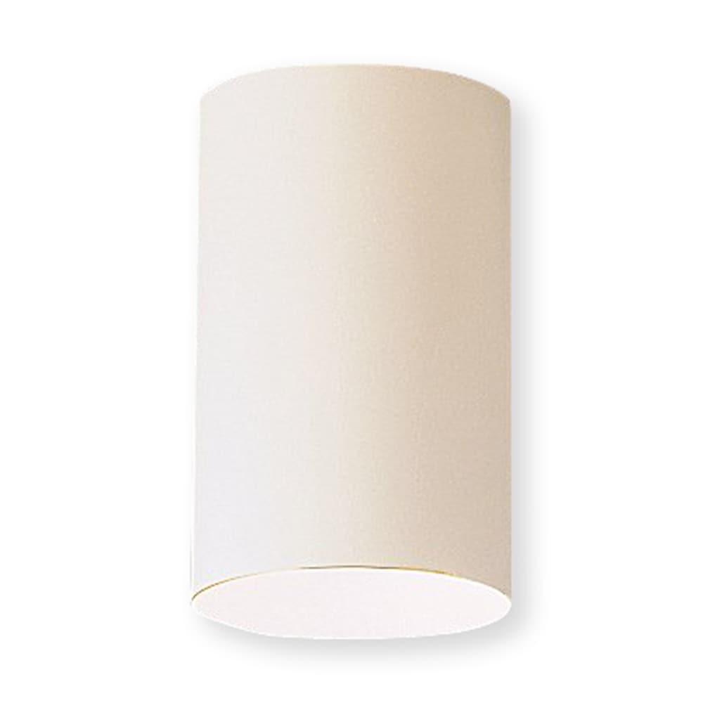 Kichler Lighting - One Light Outdoor Ceiling Mount - Outdoor Flush & Semi Flush