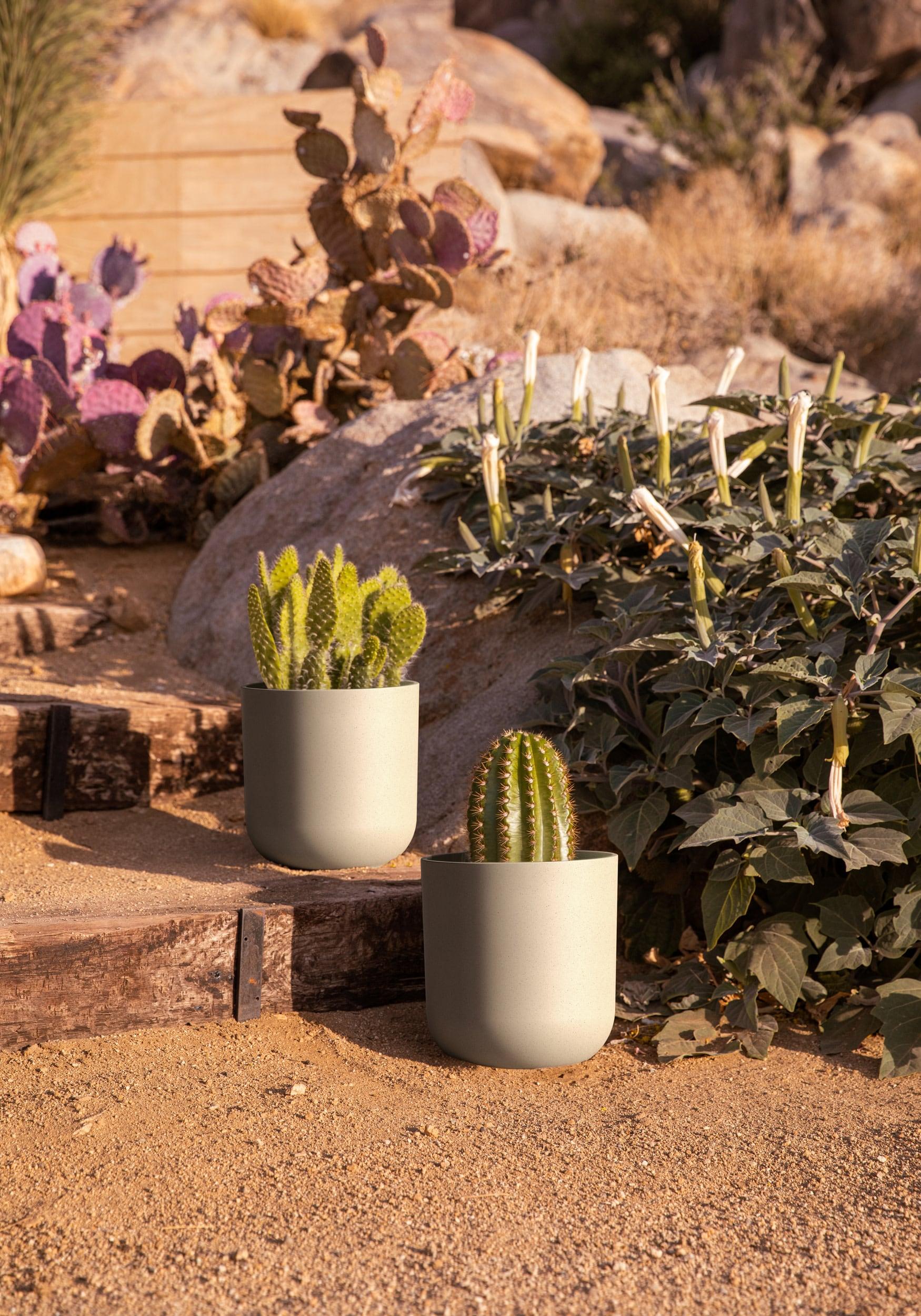 Mason Series Kona Planter