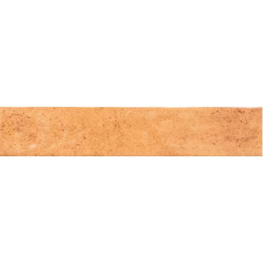The Tile Life Ibiza 2x10 Terracotta Glossy Ceramic Subway Wall Tile - 2x10 Sample