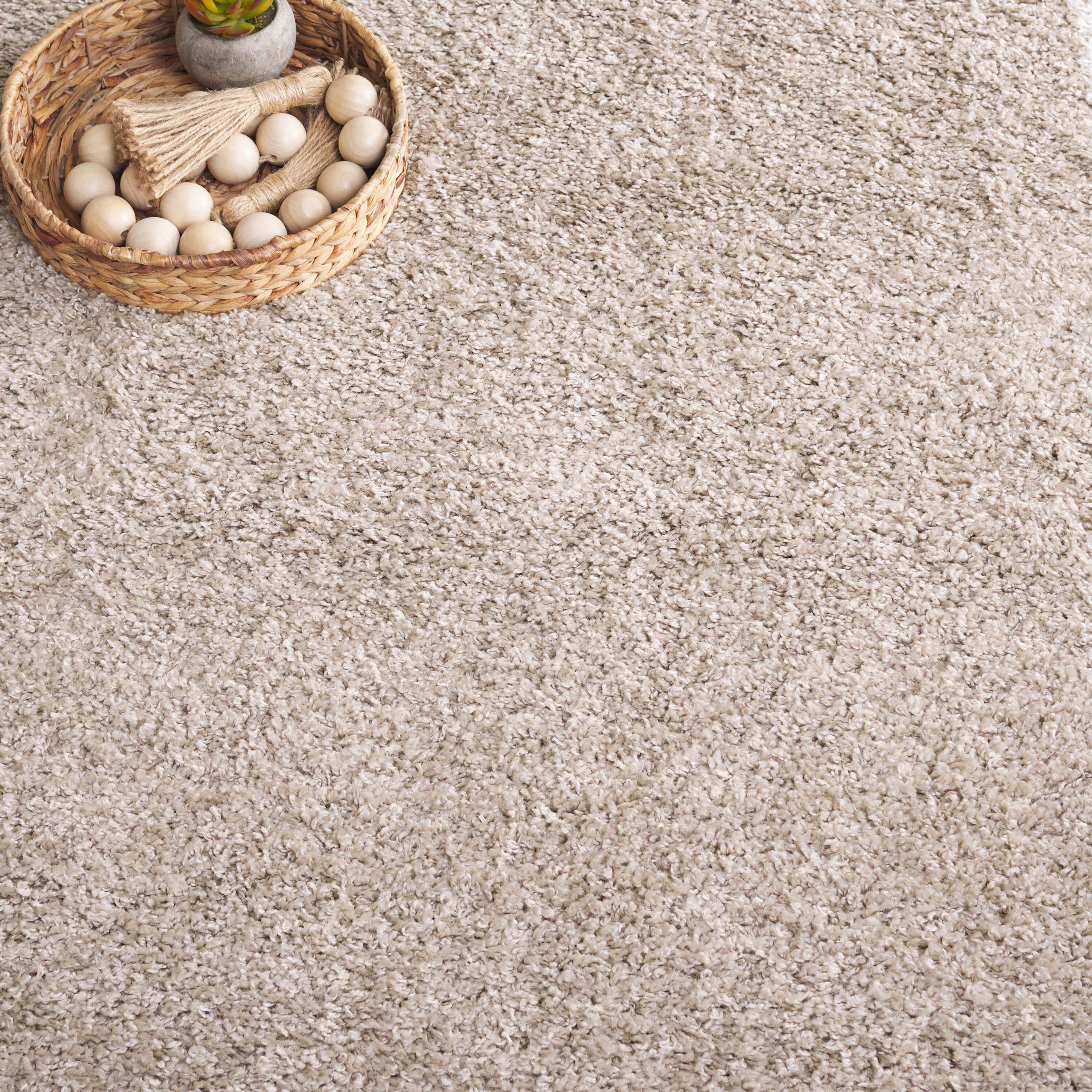 SAFAVIEH Border & Stripe Hyram Bordered Shag Area Rug, Beige/Ivory, 5'3" x 7'6"