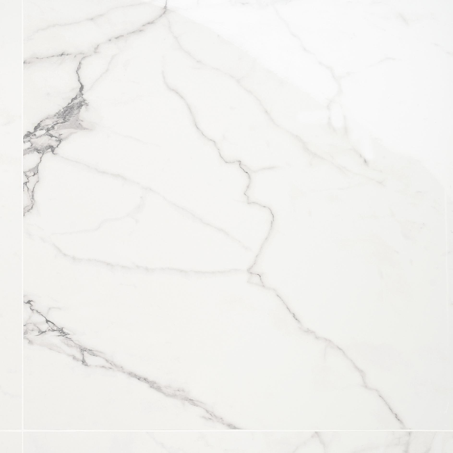 24" x 24" Polished Marble Look Porcelain Floor and Wall Tile (15.5 Sq. Ft. / Case)
