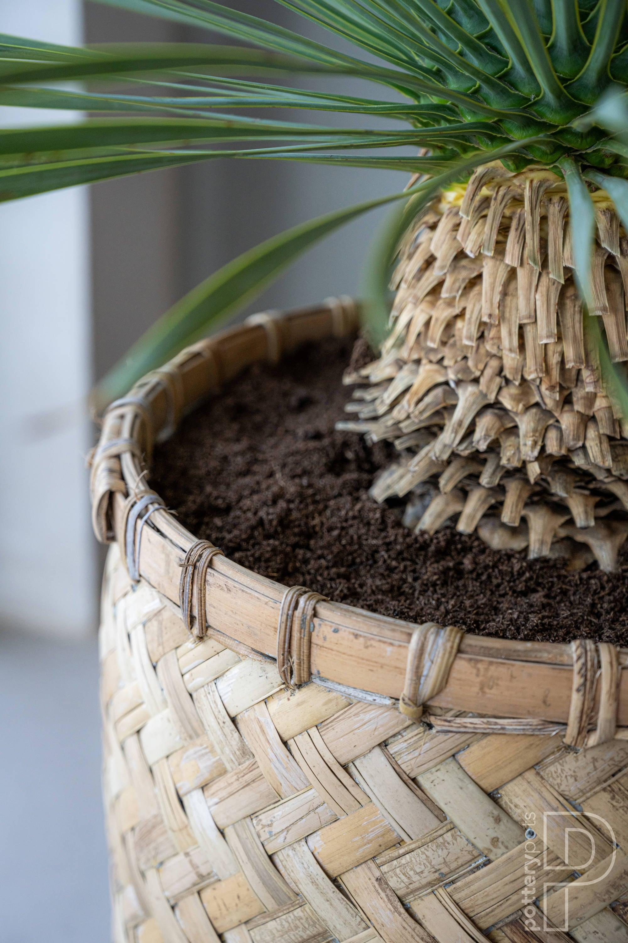 Pottery Pots USA Inc. Pottery Pots Zayn Bamboo Indoor Outdoor Round Planter, Natural Finish 18.9" x 18.9" x 20.9"