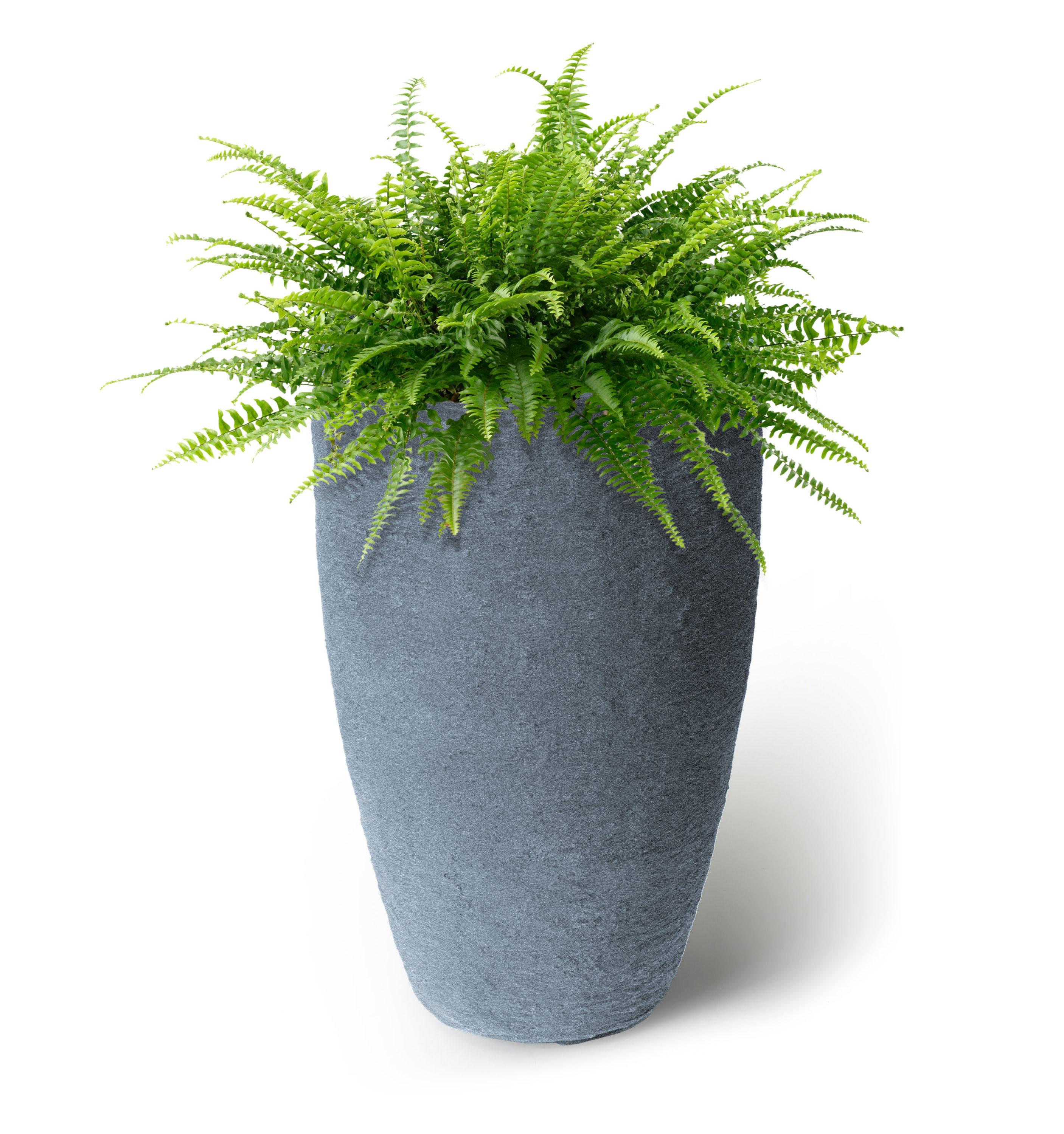 Algreen Products 87301 Athena 20.5" Self Watering Level Indicator Indoor Outdoor Plastic Planter with Overflow Drain, Charcoalstone