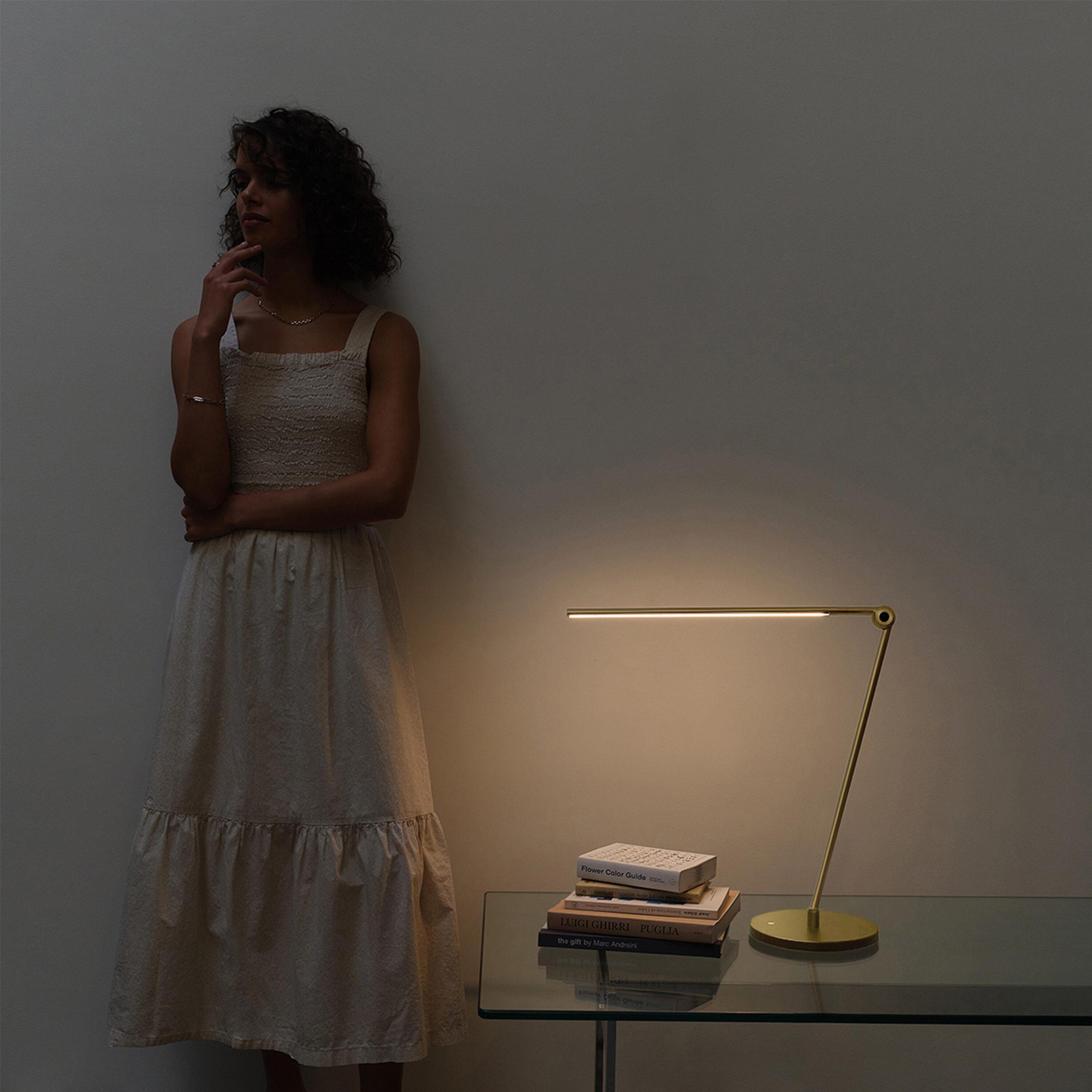 Brightech Libra 39 in. Dimmable LED Industrial Desk Lamp with USB-C Port and Adjustable Lamp Head & Reviews | Wayfair