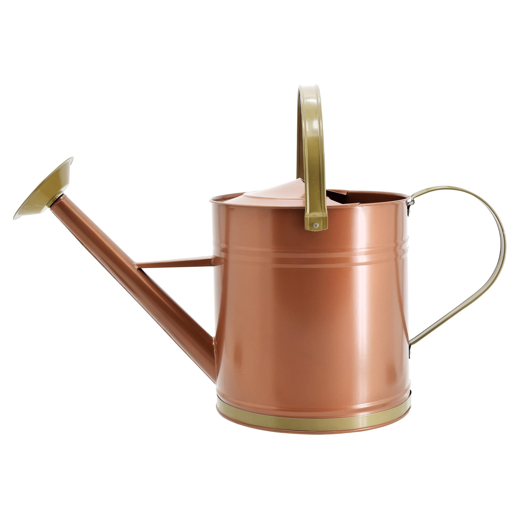 Classic Bronze Galvanized Metal Watering Can with Shower Wand