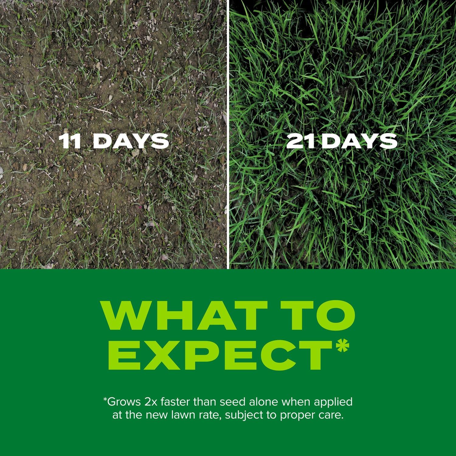 Scotts Turf Builder Rapid Grass Seed Tall Fescue Mix - 5.6lb