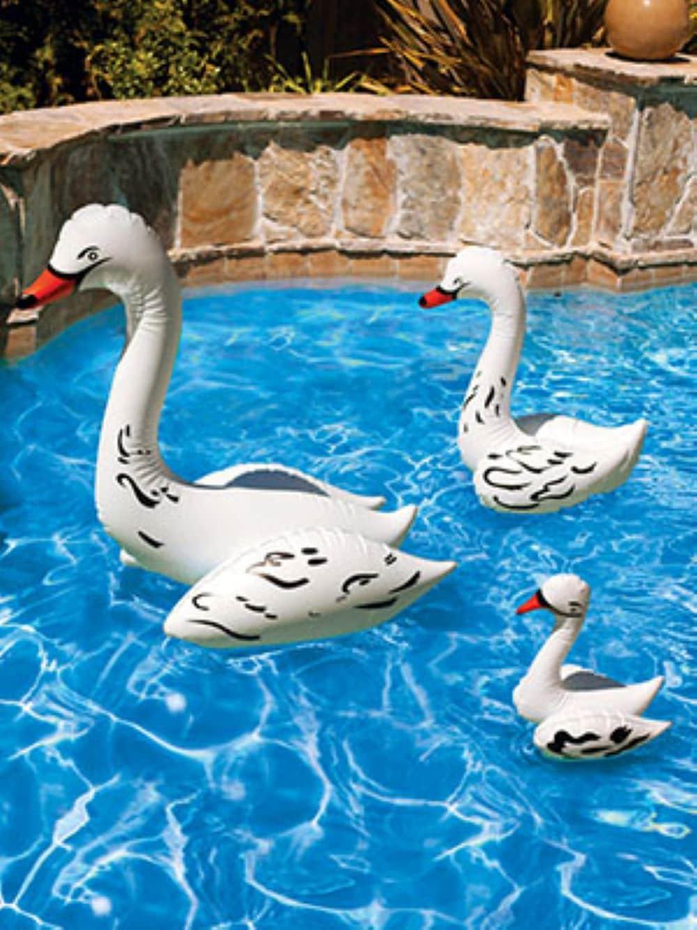 Set of Three White Floating Swan Pool Decor