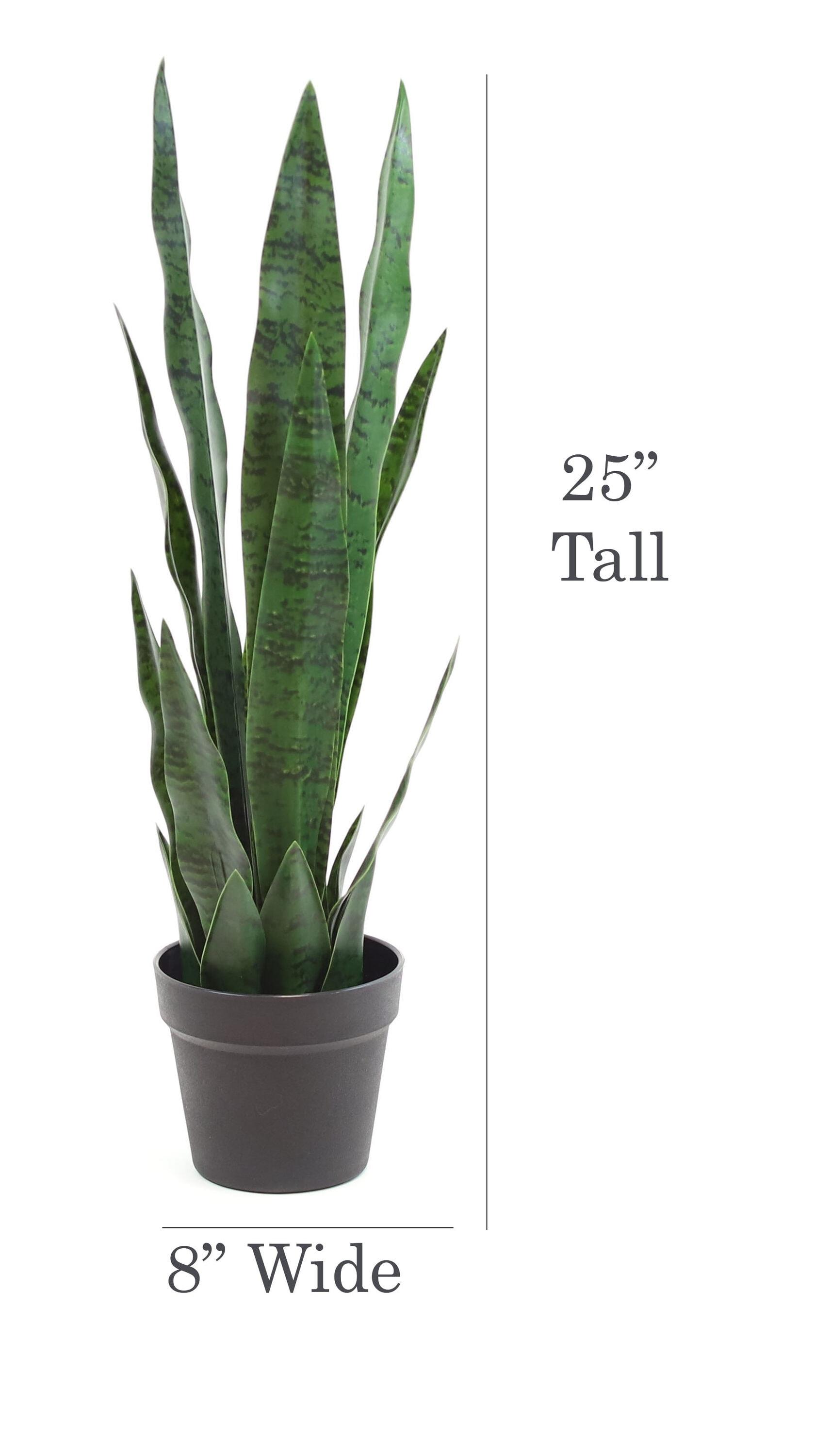 Primrue Faux Snake Plant (Sansevieria) Tree in Pot Liner
